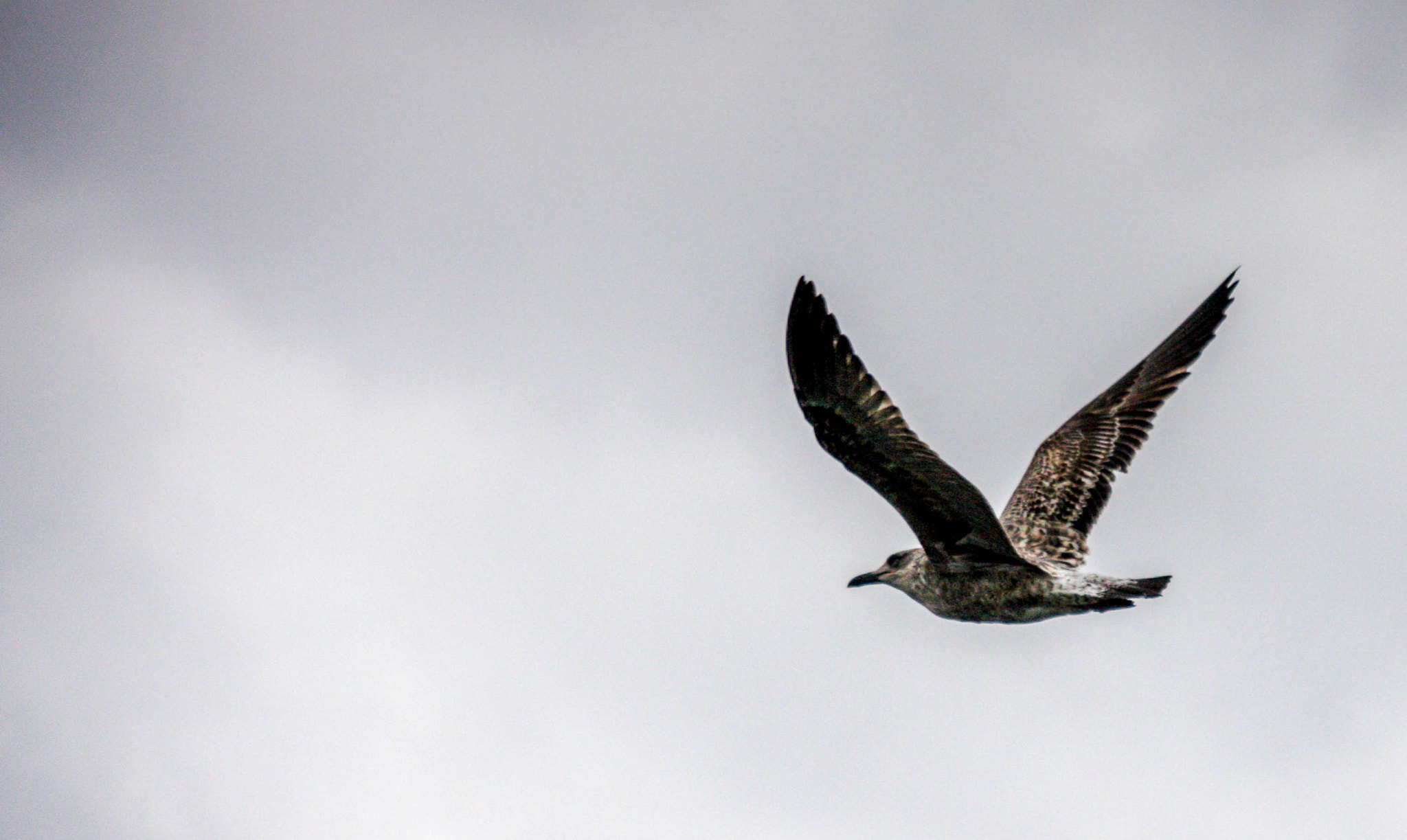 Sigma 18-200mm f/3.5-6.3 DC OS sample photo. Img photography