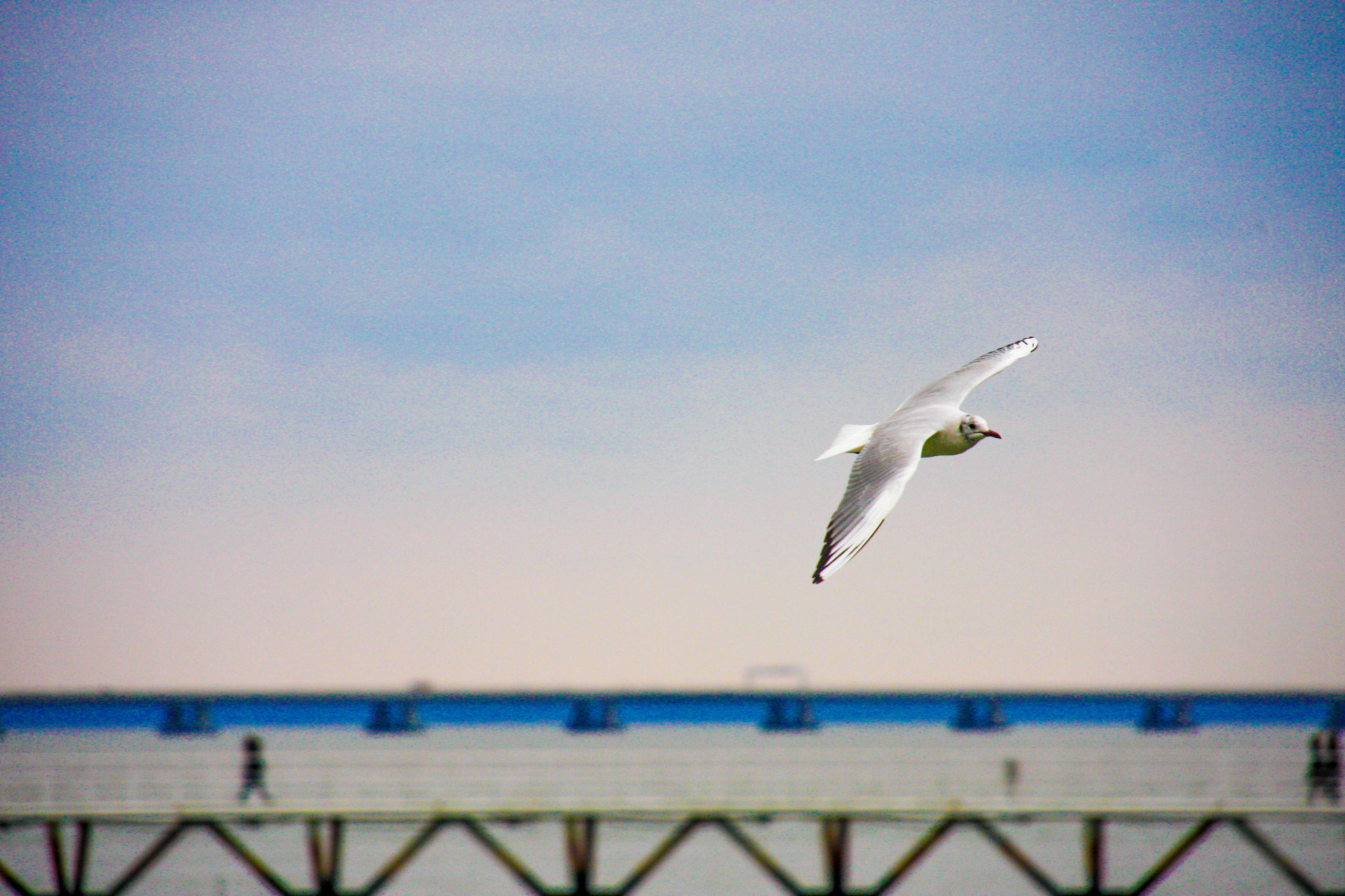 Sigma 18-200mm f/3.5-6.3 DC OS sample photo. Img photography