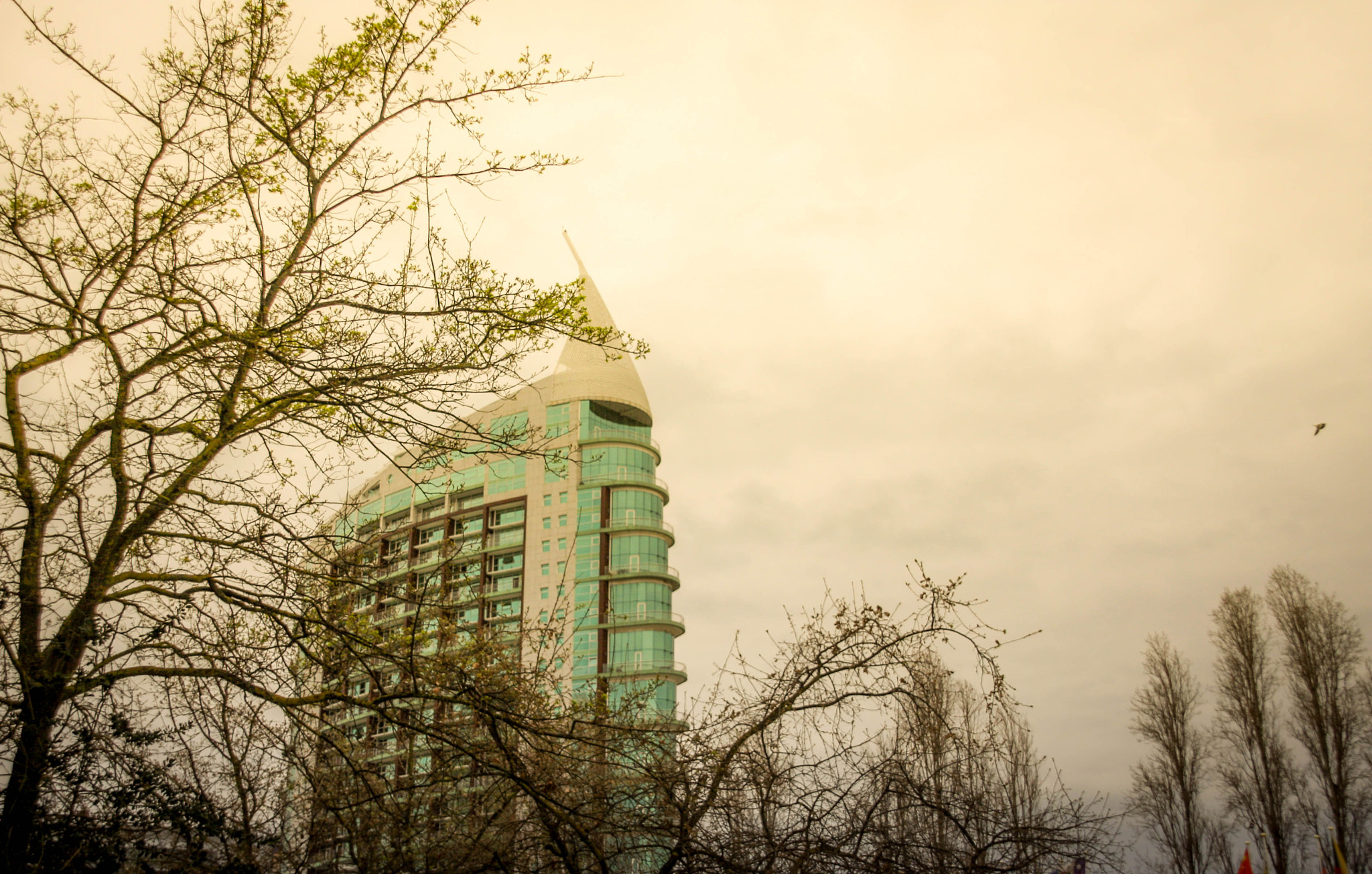 Sigma 18-200mm f/3.5-6.3 DC OS sample photo. Img photography