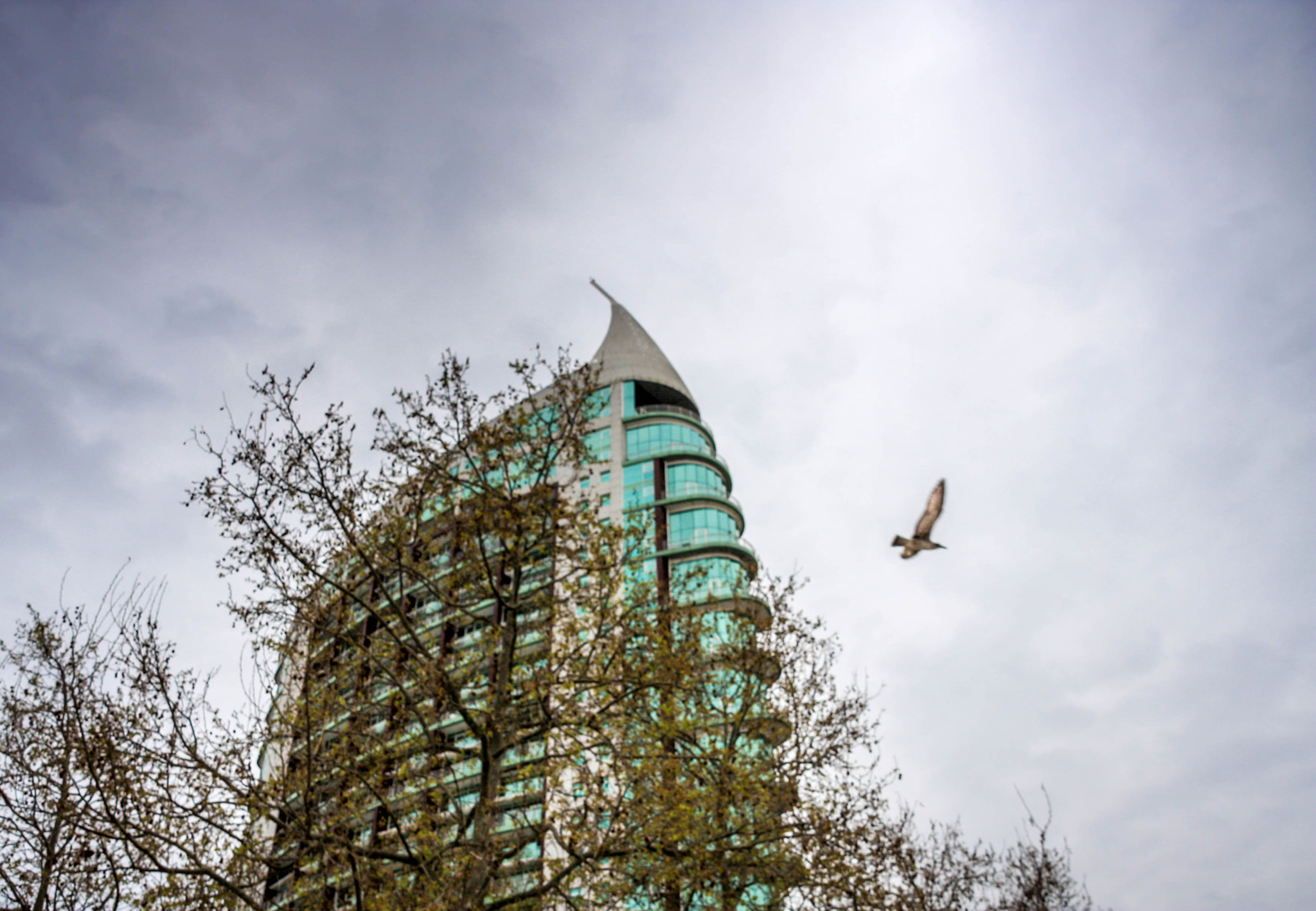 Sigma 18-200mm f/3.5-6.3 DC OS sample photo. Img photography