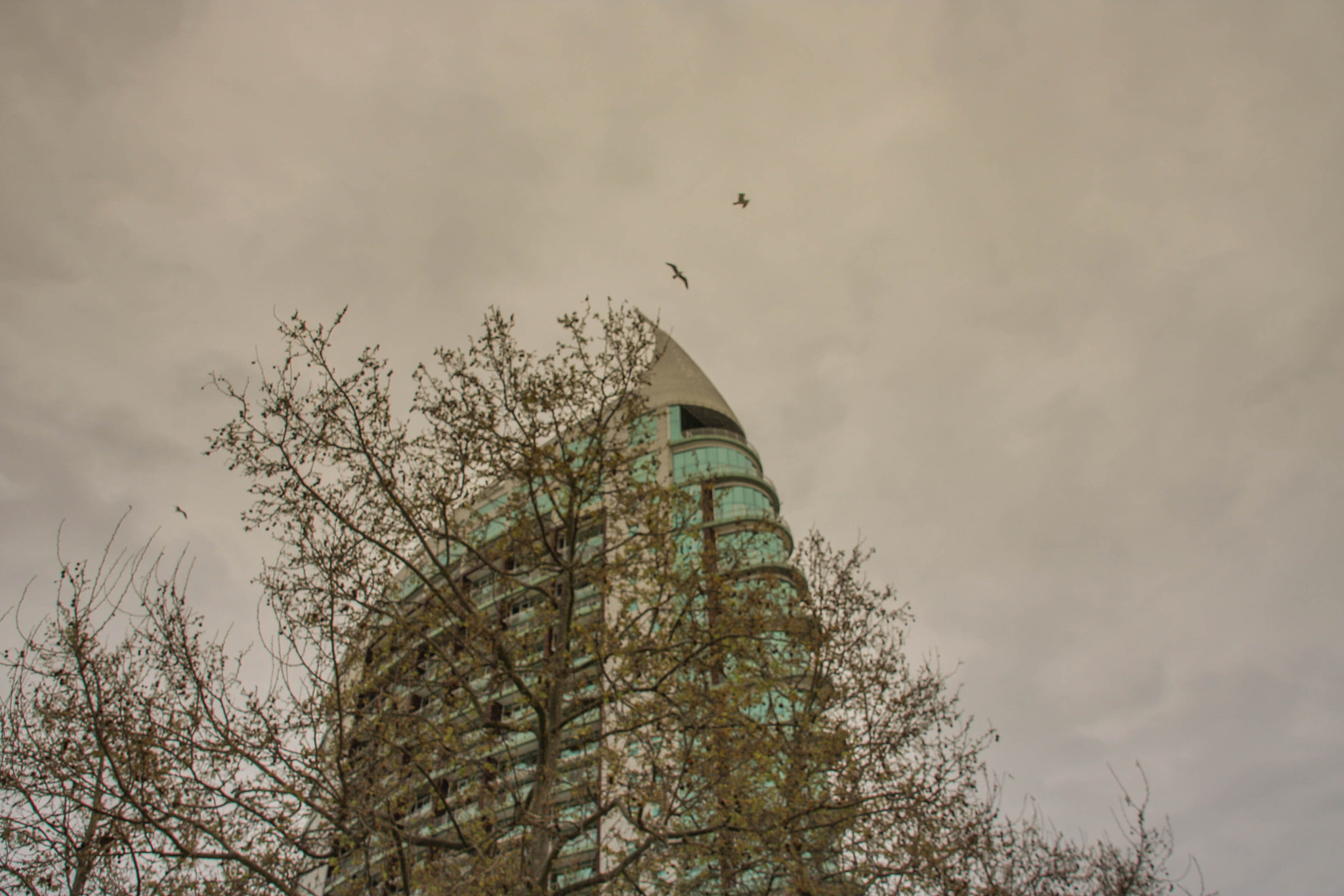 Sigma 18-200mm f/3.5-6.3 DC OS sample photo. Img photography
