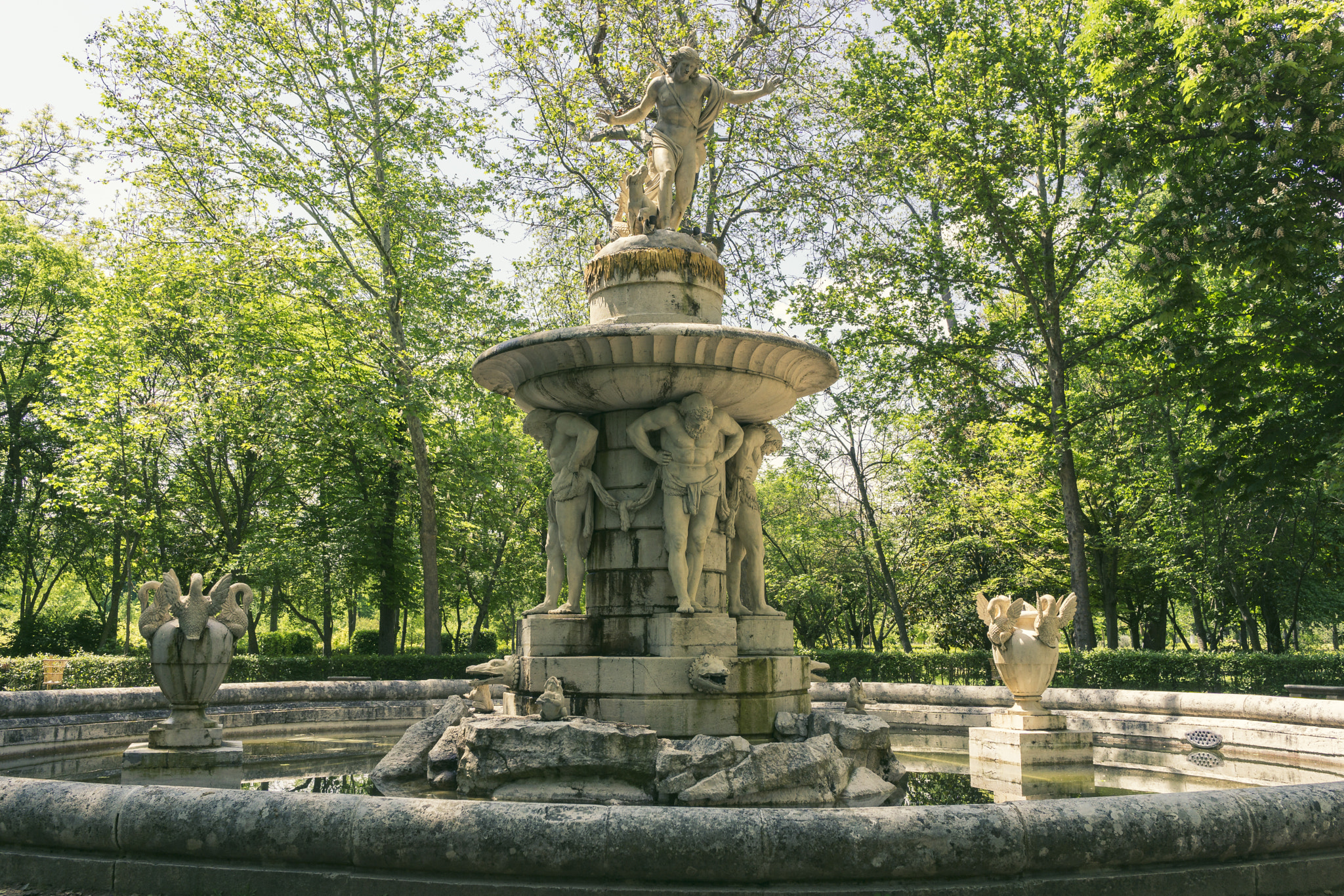 Narcissus Fountain