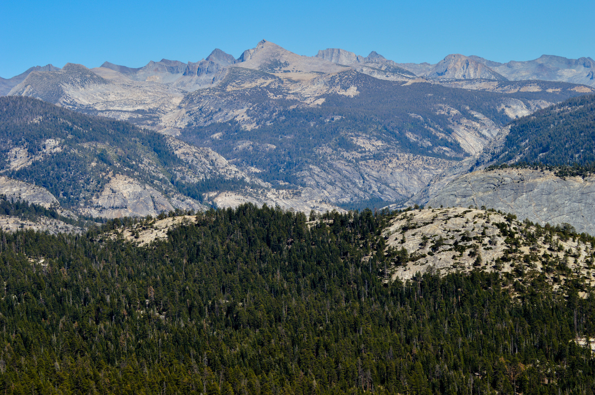 Nikon D3200 sample photo. Scene yosemite photography
