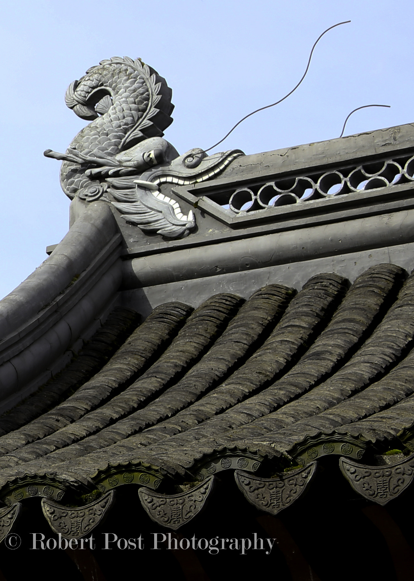 Canon EOS 6D sample photo. Roof top dragon photography