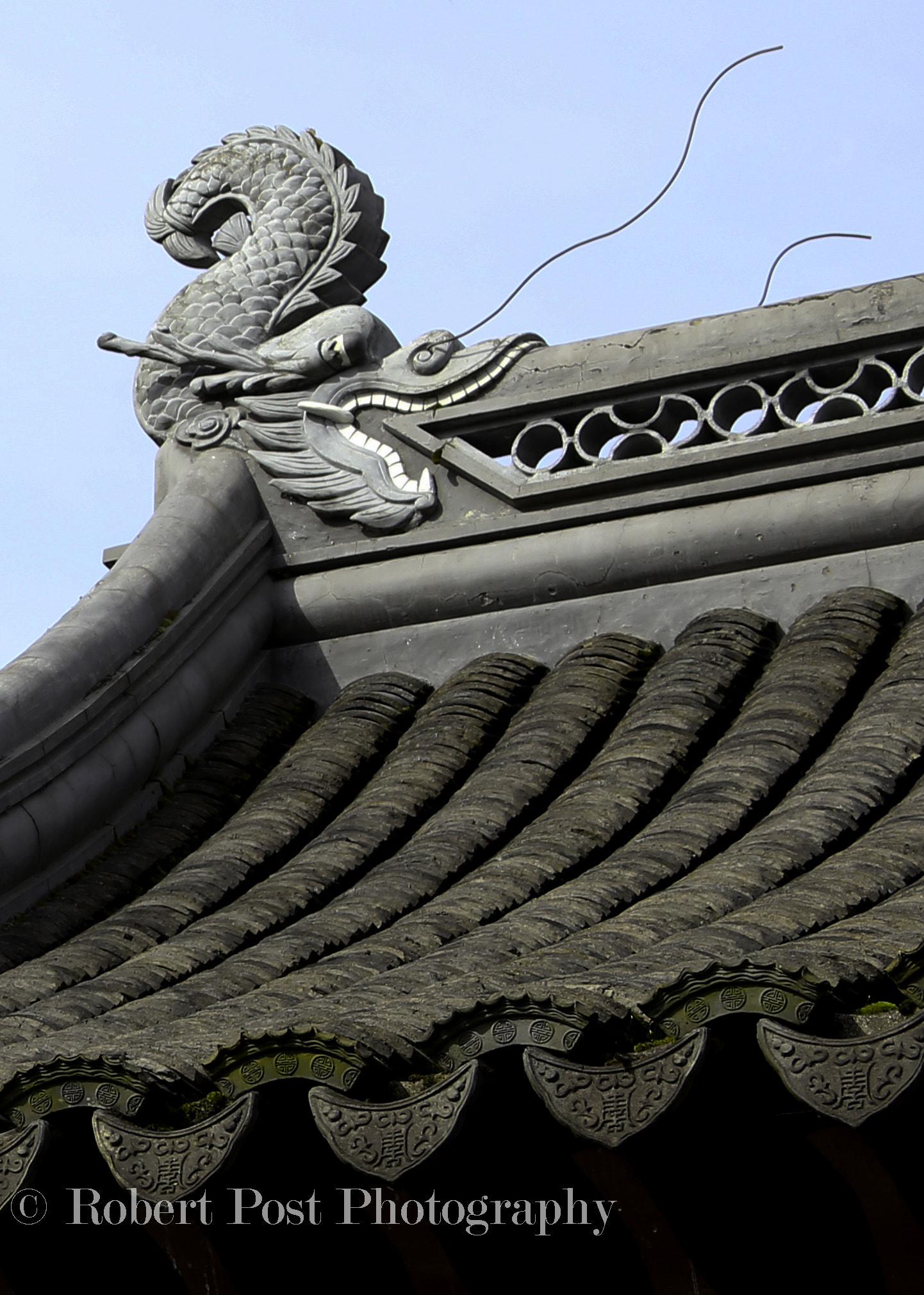 Canon EF 28-135mm F3.5-5.6 IS USM sample photo. Roof top dragon photography