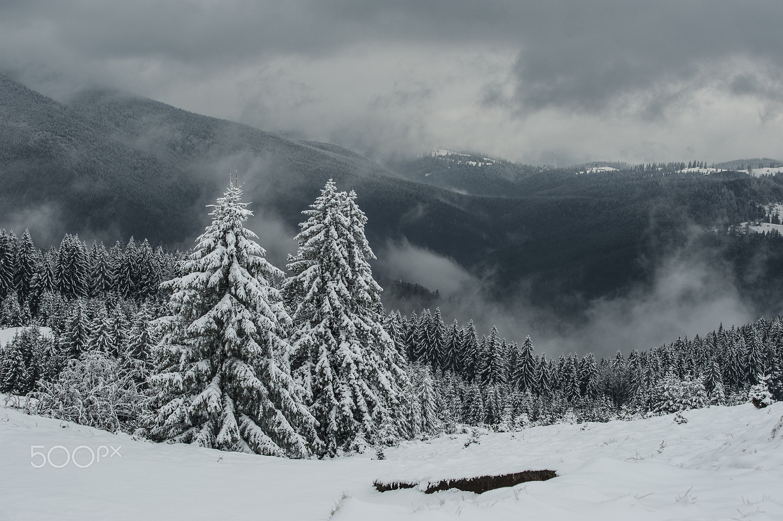 Nikon AF-S Nikkor 70-200mm F4G ED VR sample photo. Winter fog photography