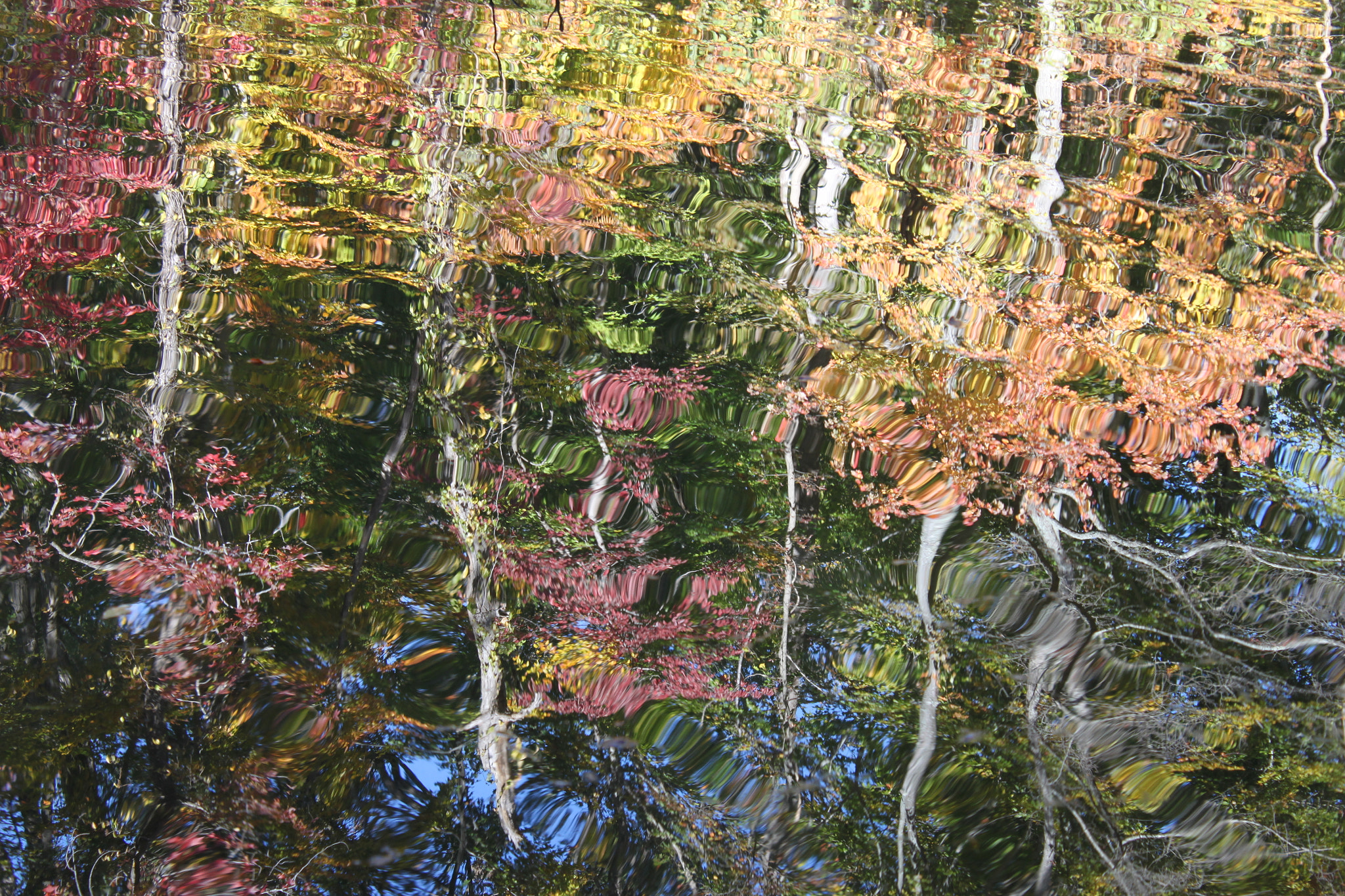 Canon EF-S 18-55mm F3.5-5.6 IS sample photo. Fall reflections photography