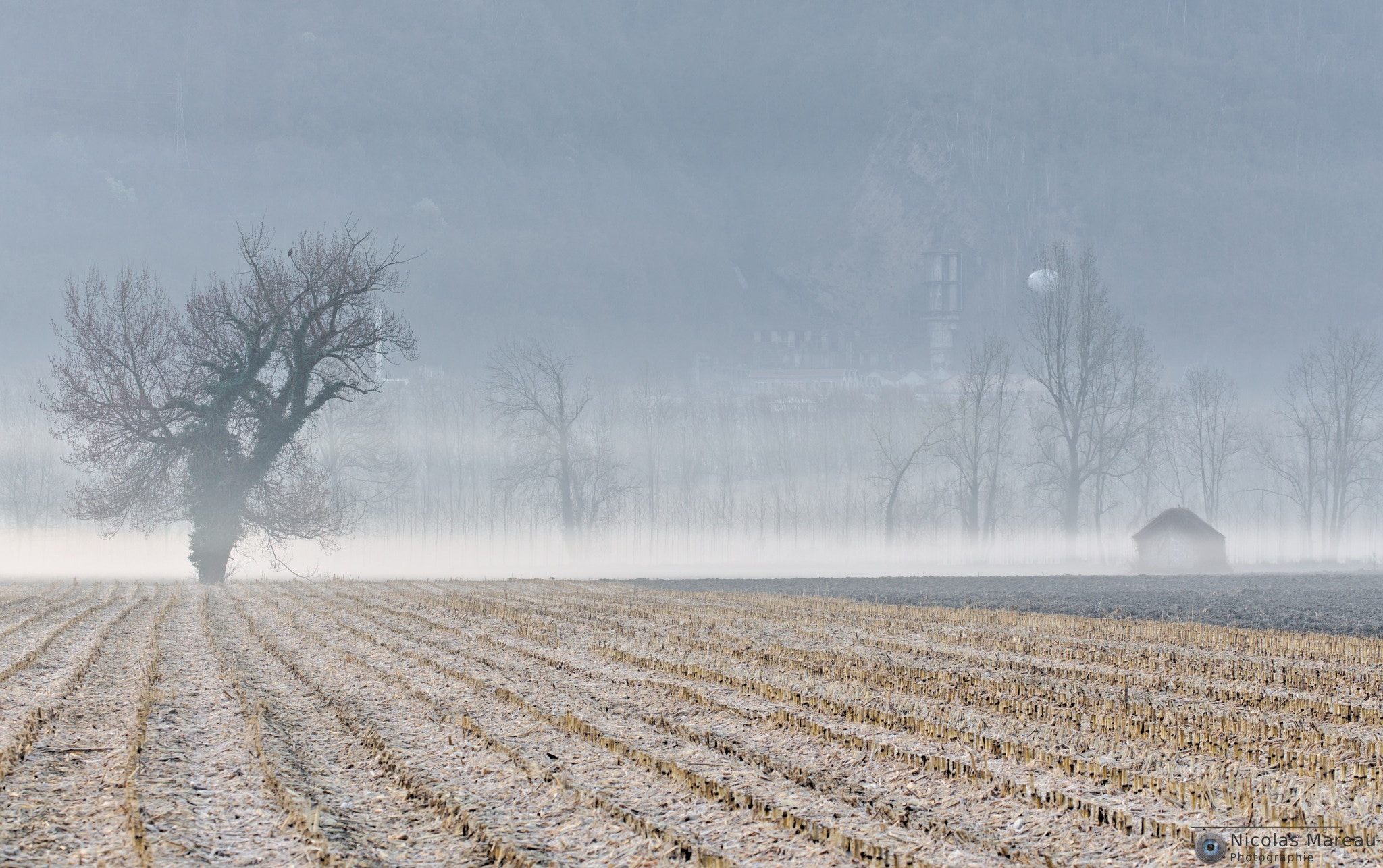 Canon EF 70-300mm F4-5.6L IS USM sample photo. Misty morning photography