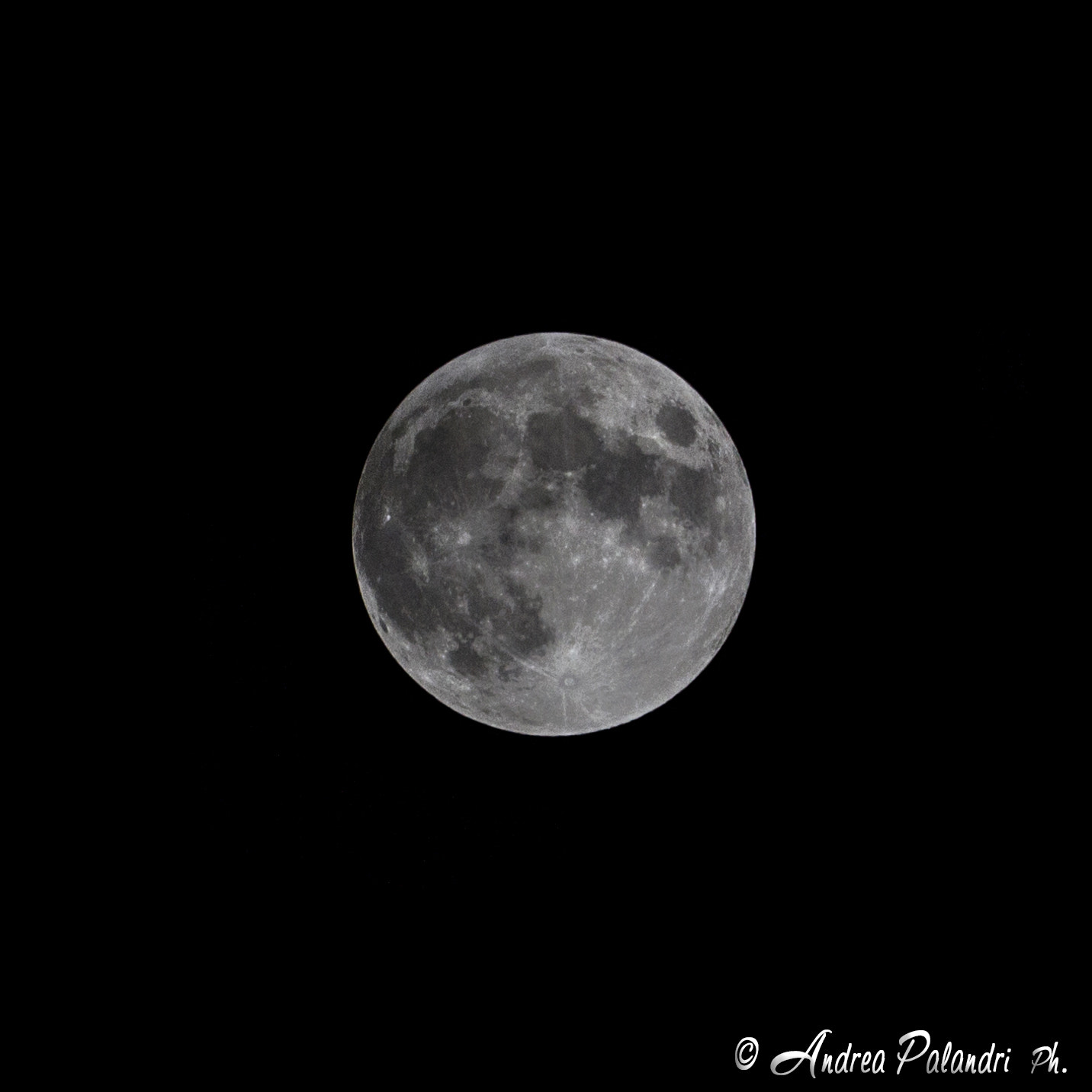 Canon EOS 650D (EOS Rebel T4i / EOS Kiss X6i) + Canon EF-S 55-250mm F4-5.6 IS STM sample photo. Luna piena photography