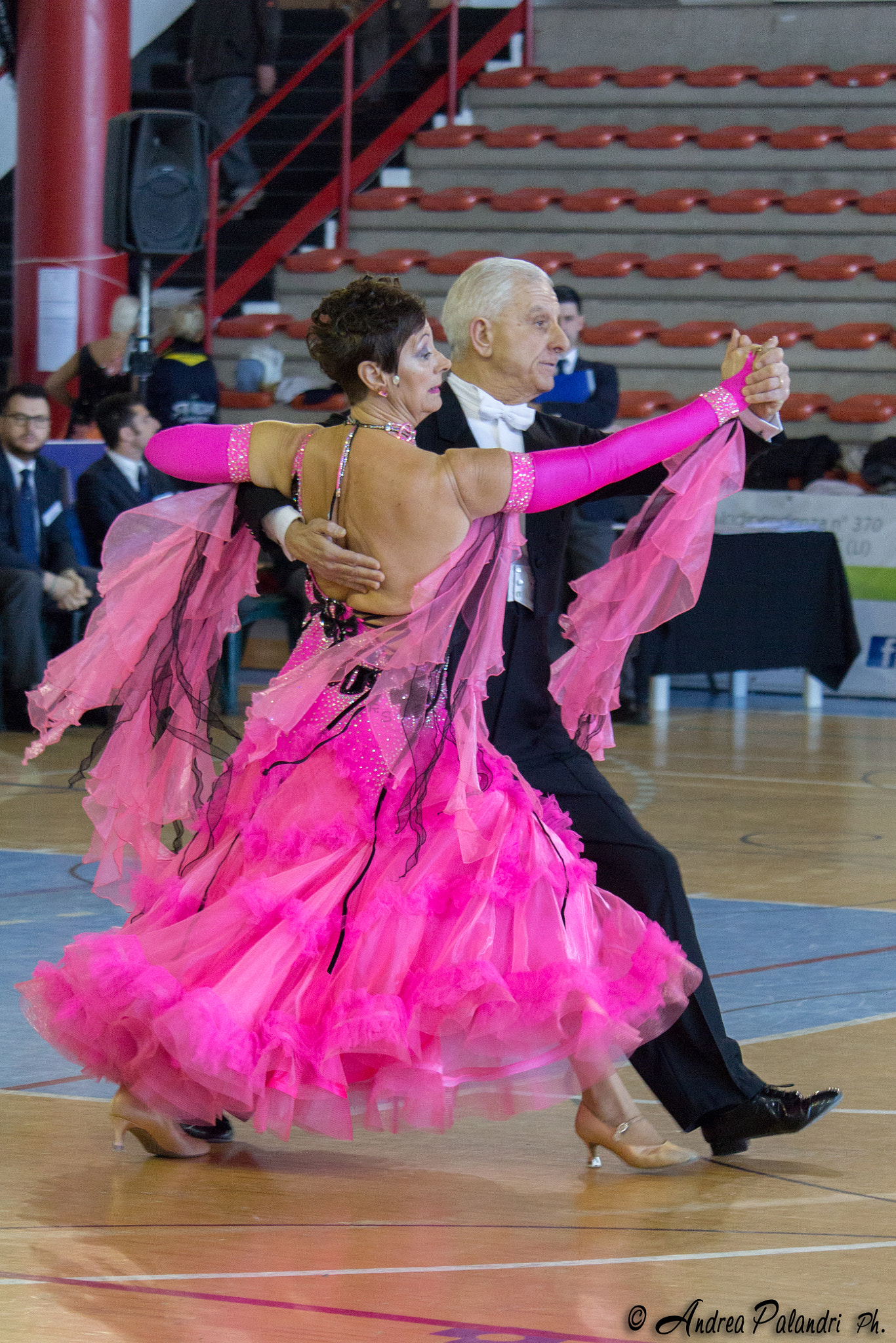 Canon EF-S 55-250mm F4-5.6 IS STM sample photo. Ballo sportivo photography