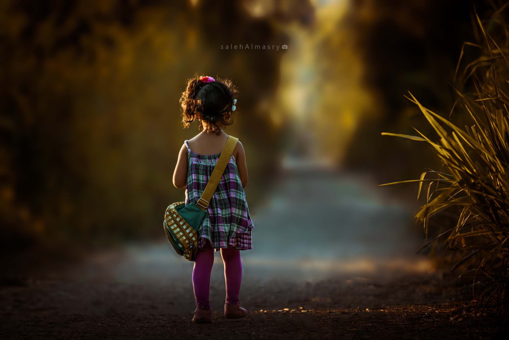Nikon D800 sample photo. Edit edit photography