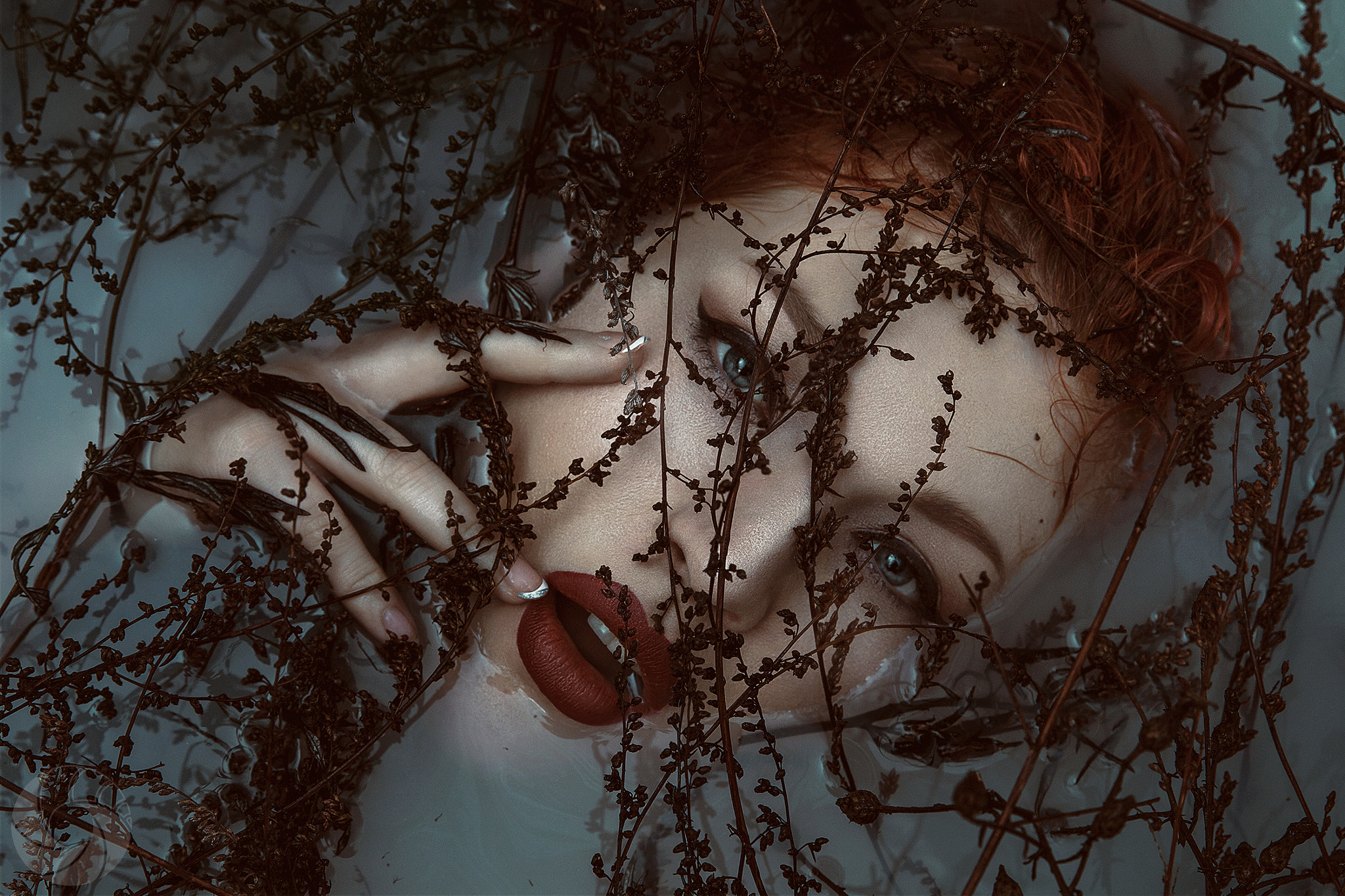 Canon EF 24-70mm F2.8L II USM sample photo. Ophelia photography