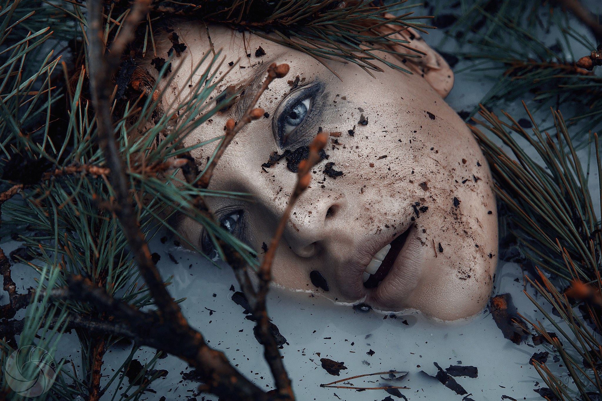 Canon EF 24-70mm F2.8L II USM sample photo. Ophelia photography