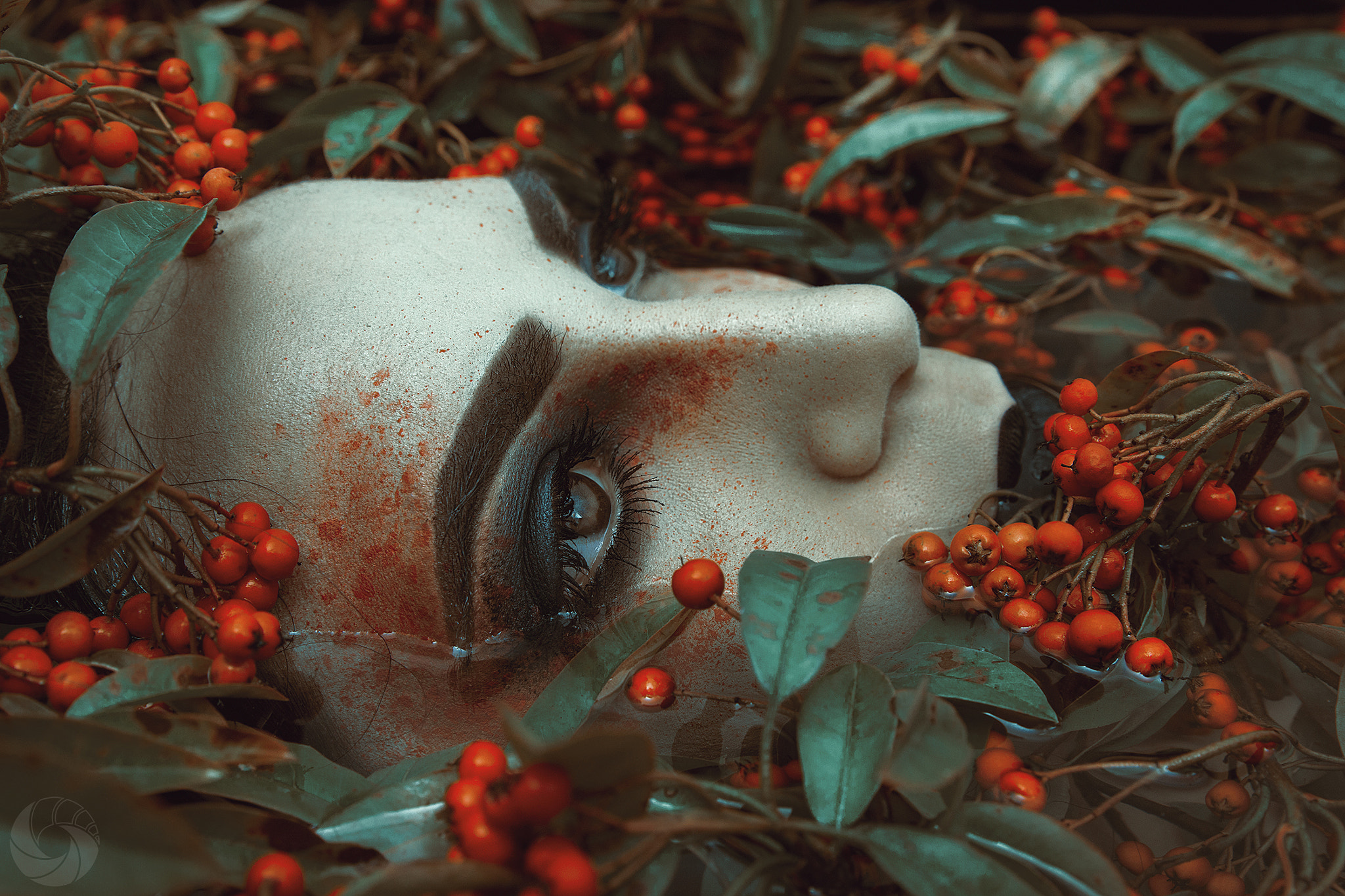 Canon EF 24-70mm F2.8L II USM sample photo. Ophelia photography