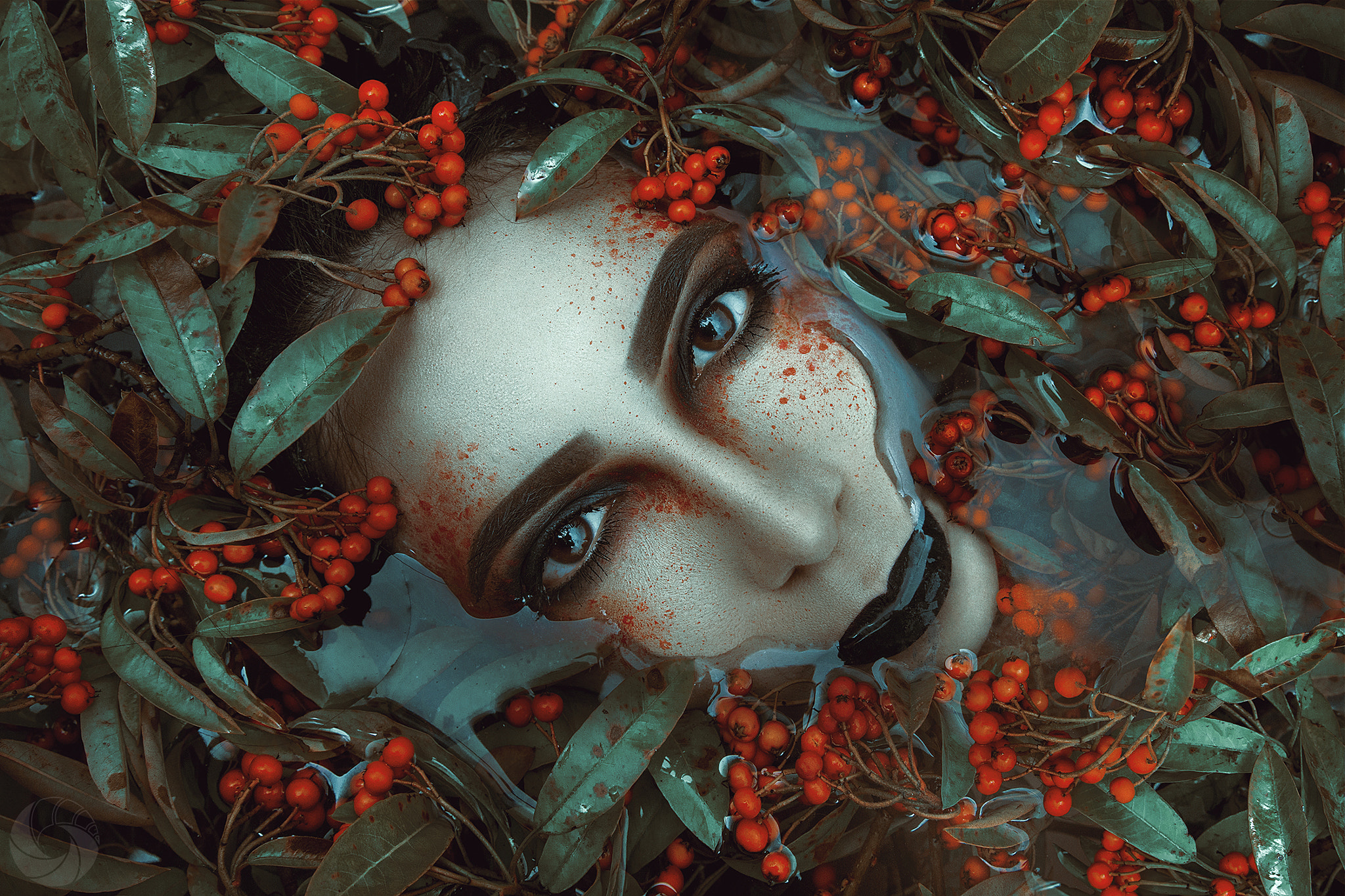Canon EF 24-70mm F2.8L II USM sample photo. Ophelia photography