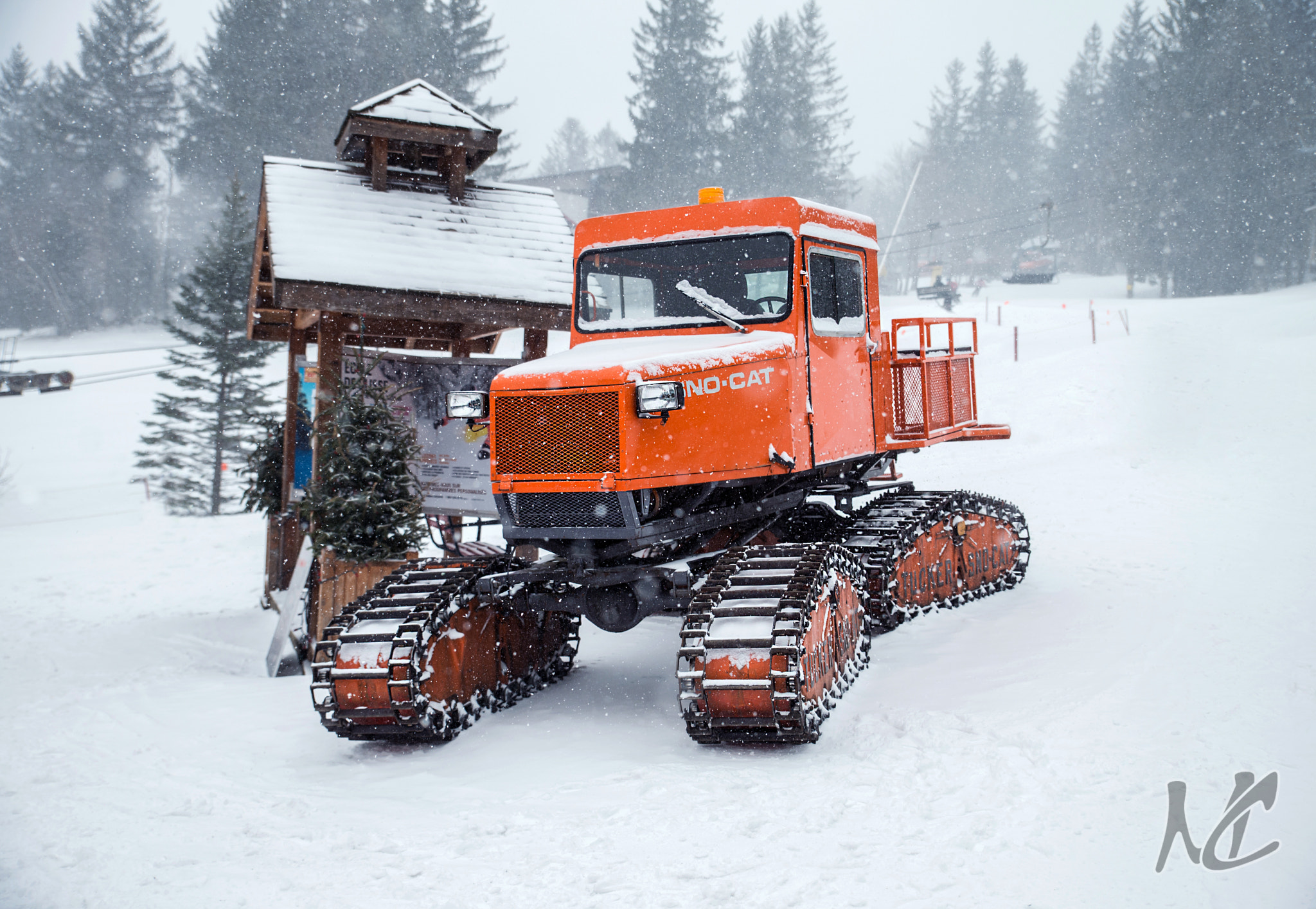 Tamron SP 24-70mm F2.8 Di VC USD sample photo. Sno-cat tucker photography