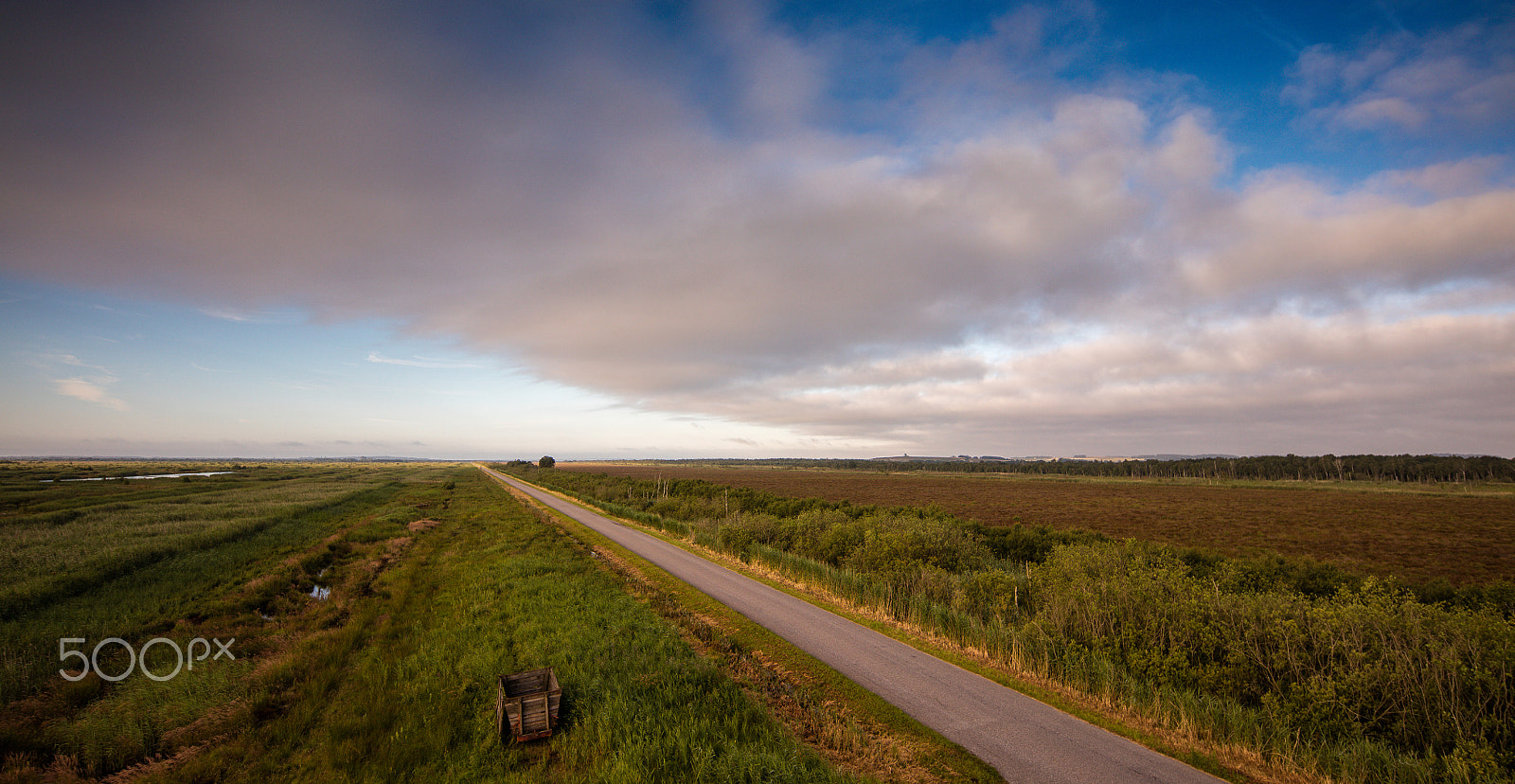 Canon TS-E 17mm F4L Tilt-Shift sample photo. Vildmosen set fra brandtårnet photography