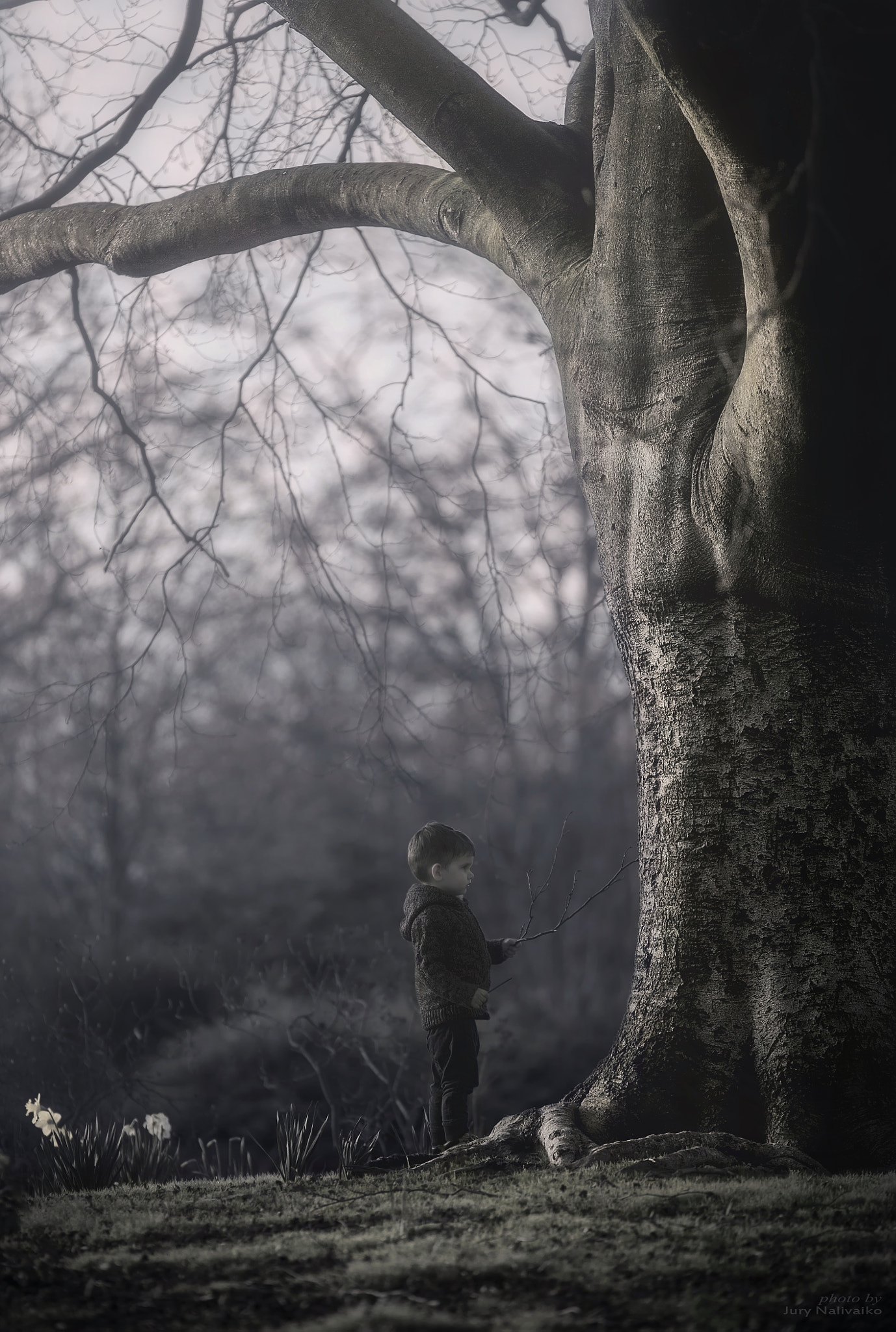 Nikon AF-S Nikkor 70-200mm F2.8G ED VR II sample photo. Where the story begins(exposure edit) photography