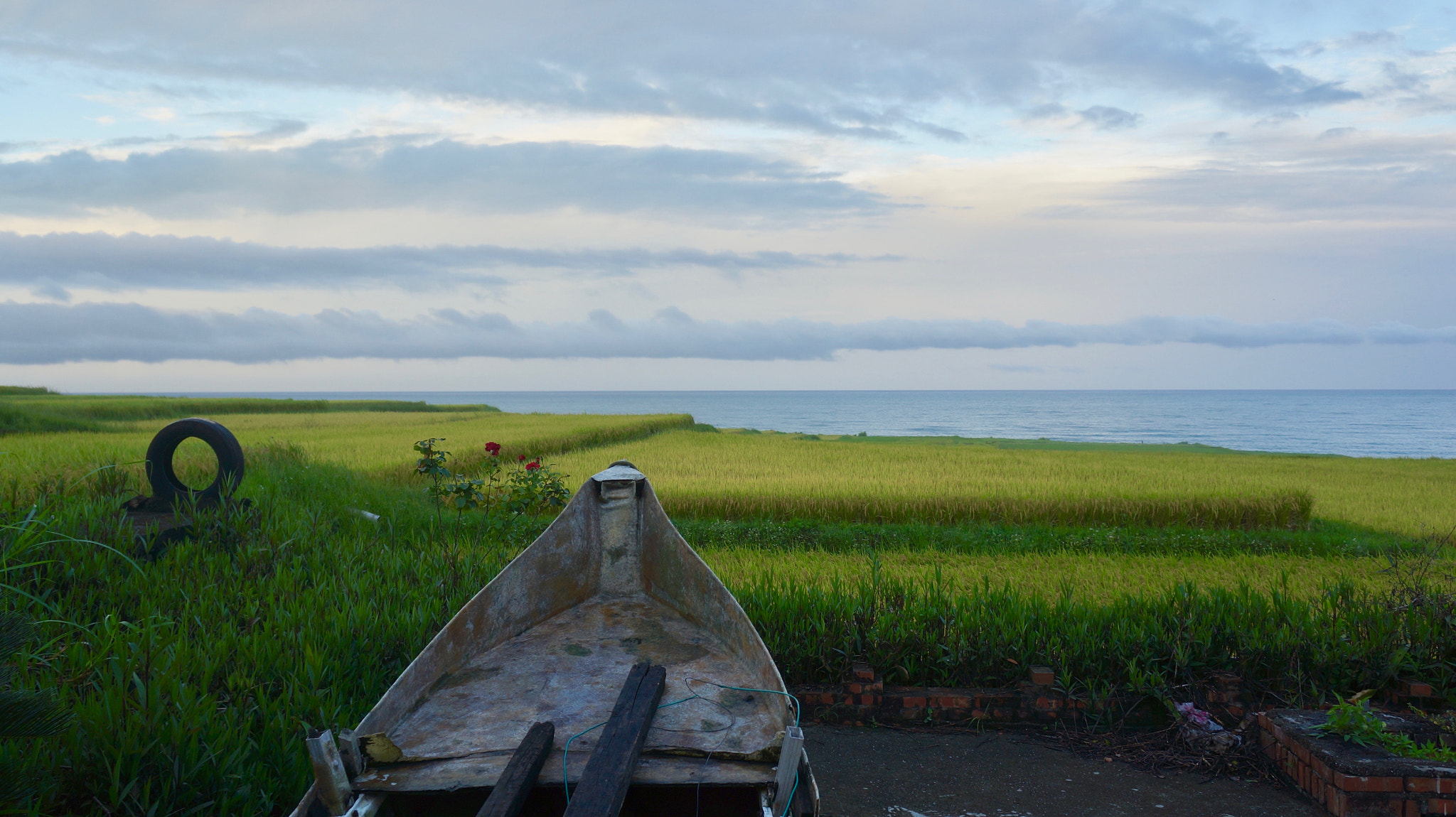 Tamron 18-200mm F3.5-6.3 Di III VC sample photo. Boat in rice field photography