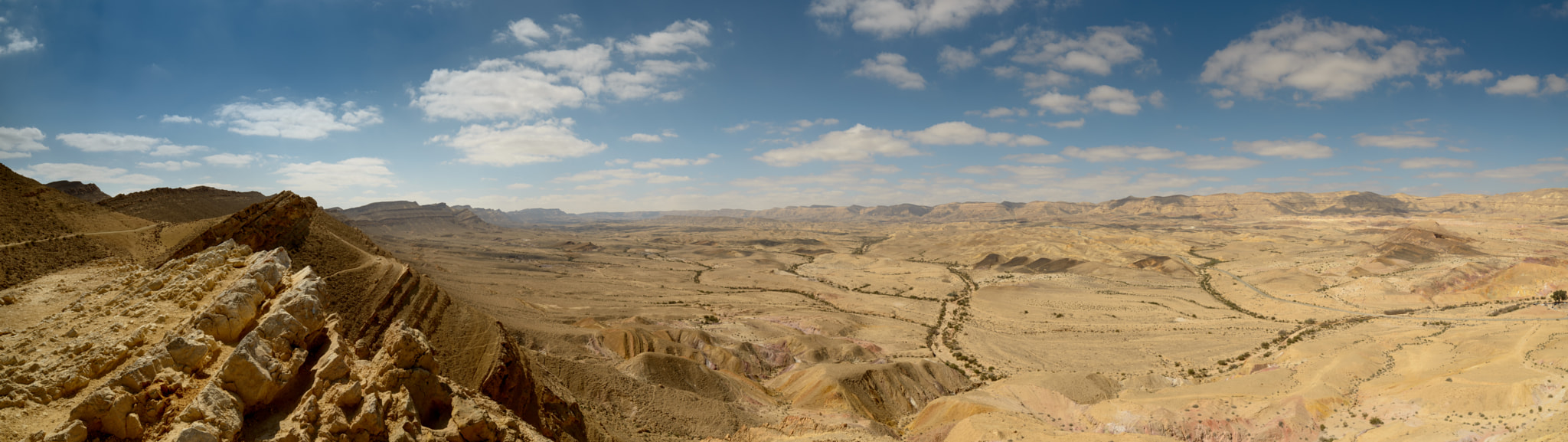 IX-Nikkor 30-60mm f/4-5.6 sample photo. Desert flesh photography