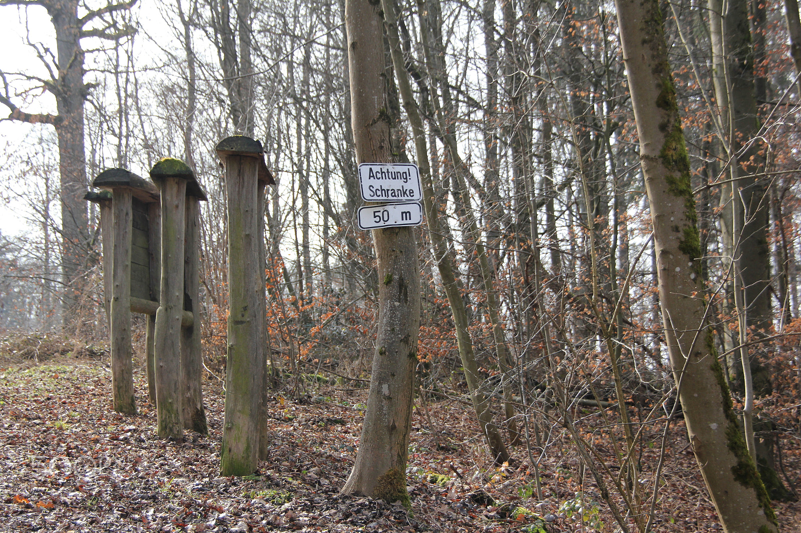 Canon EOS 550D (EOS Rebel T2i / EOS Kiss X4) sample photo. Forest with sign photography