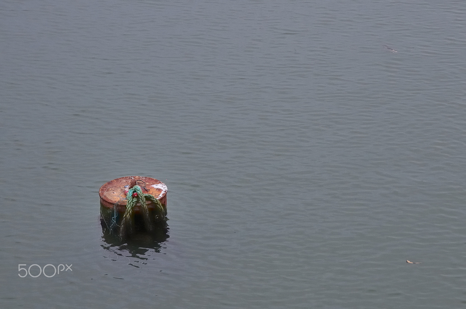 Nikon D300S sample photo. Buoy i photography