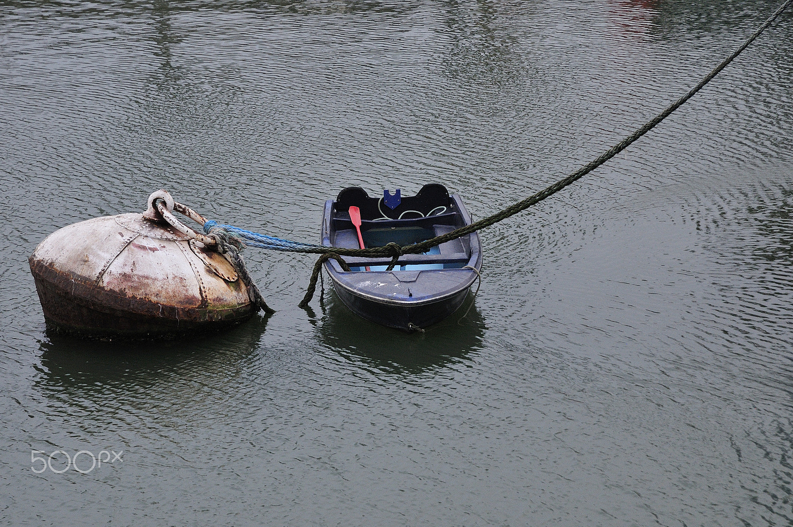 Nikon D300S sample photo. Buoy ii photography