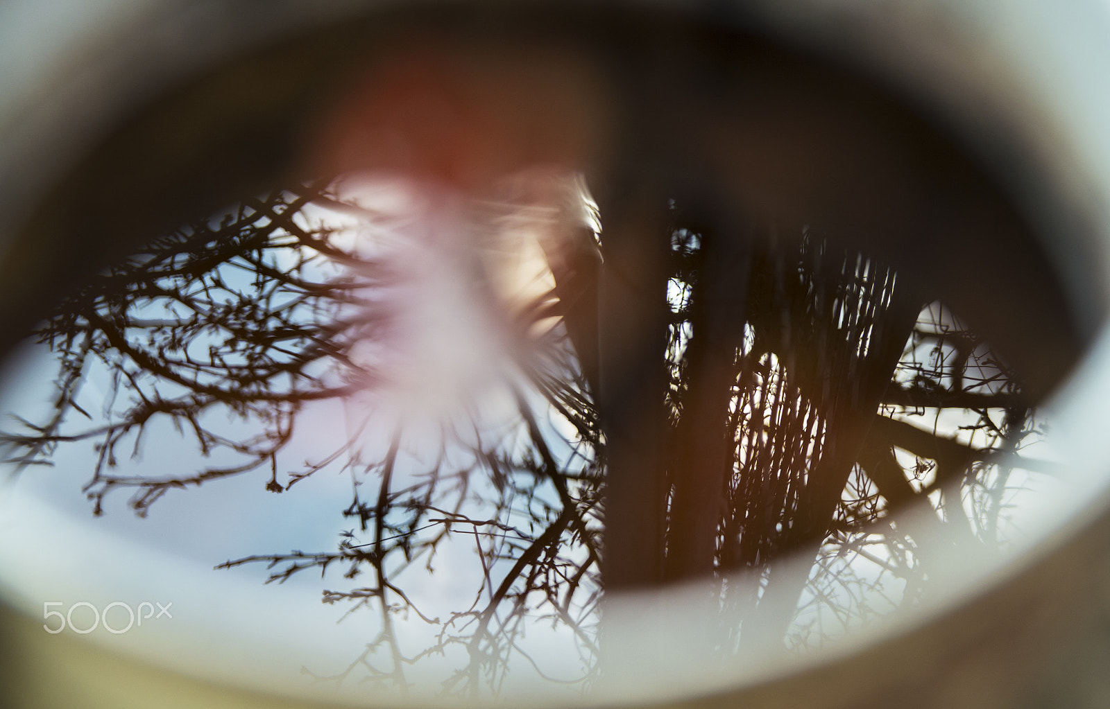 Sigma 17-50mm F2.8 EX DC OS HSM sample photo. Vague reflection photography