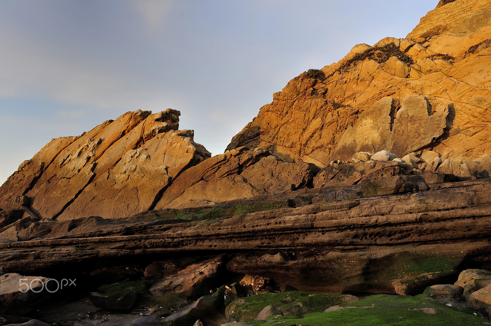Nikon D300S sample photo. The natural wall photography