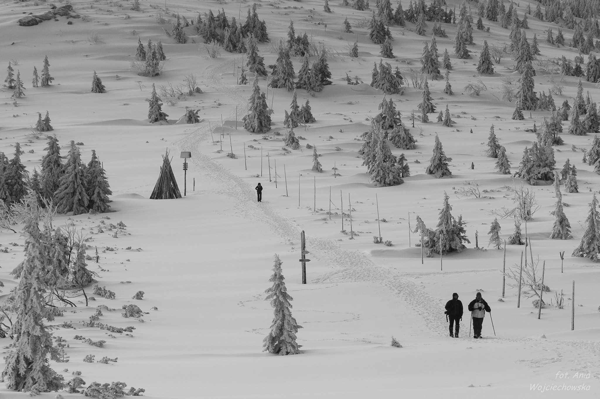 Canon EOS 600D (Rebel EOS T3i / EOS Kiss X5) sample photo. Hiking in the mountains photography