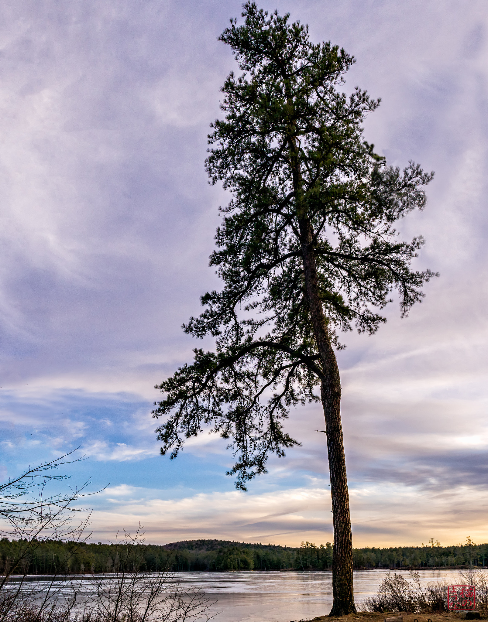 Sony a7 + Sony Sonnar T* E 24mm F1.8 ZA sample photo. Loner photography