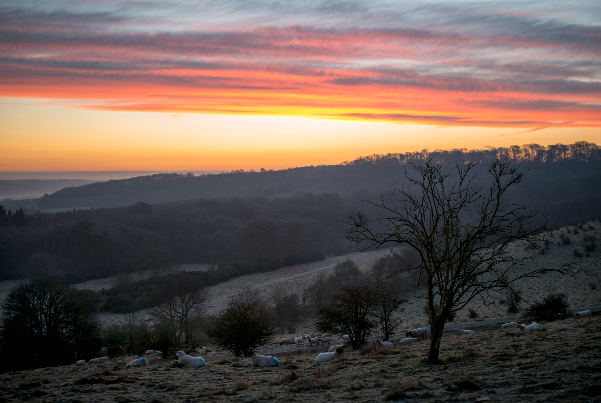 Nikon D800E + Sigma 35mm F1.4 DG HSM Art sample photo. Sunrise at ivinghoe beacon photography