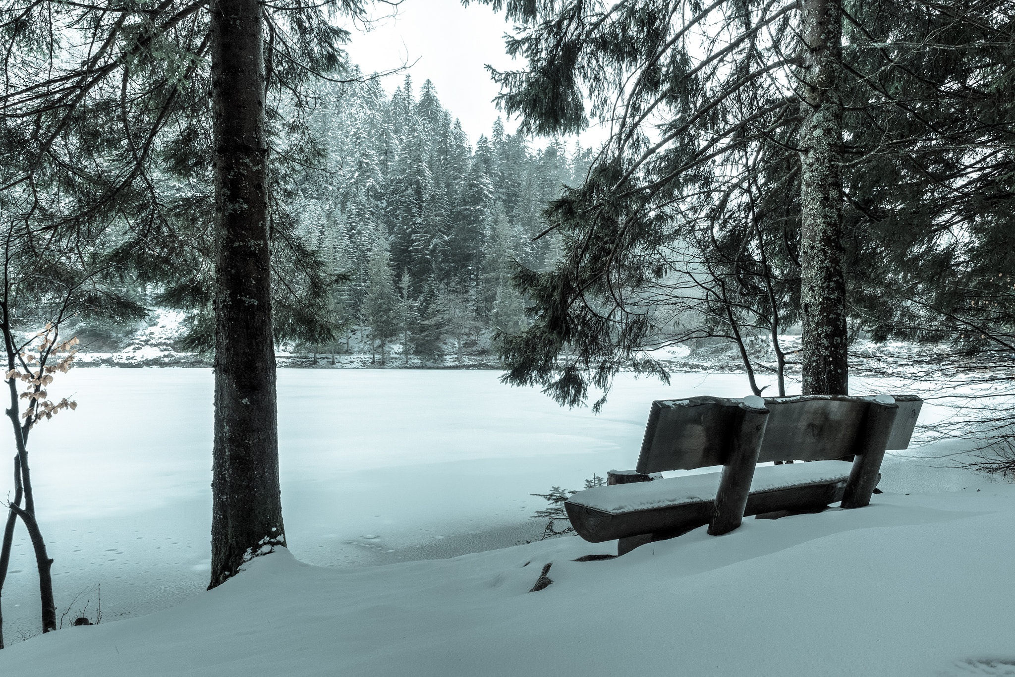 Olympus OM-D E-M5 + Olympus M.Zuiko Digital ED 12-40mm F2.8 Pro sample photo. Lac des corbeaux photography