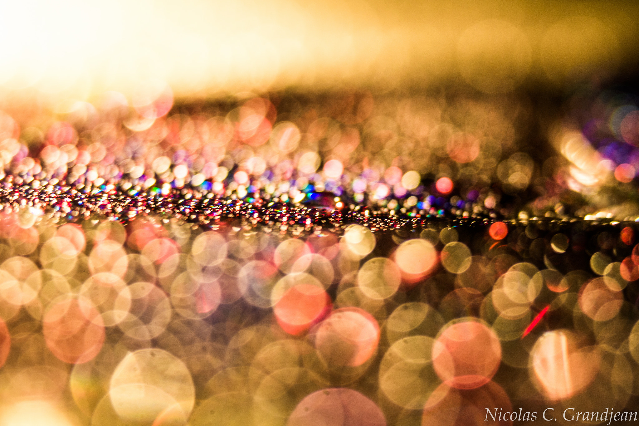 Sigma 150mm F2.8 EX DG OS Macro HSM sample photo. Abstract world photography