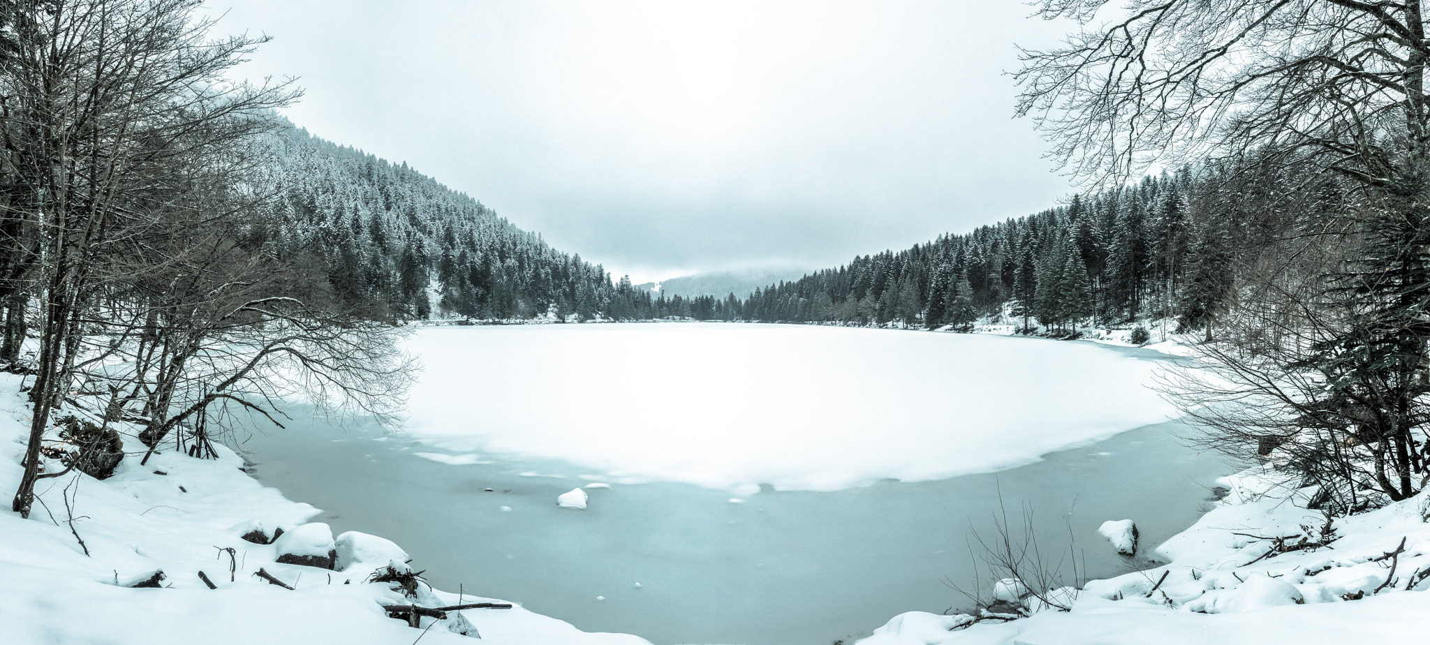 Olympus OM-D E-M5 + Olympus M.Zuiko Digital ED 12-40mm F2.8 Pro sample photo. Lac des corbeaux photography