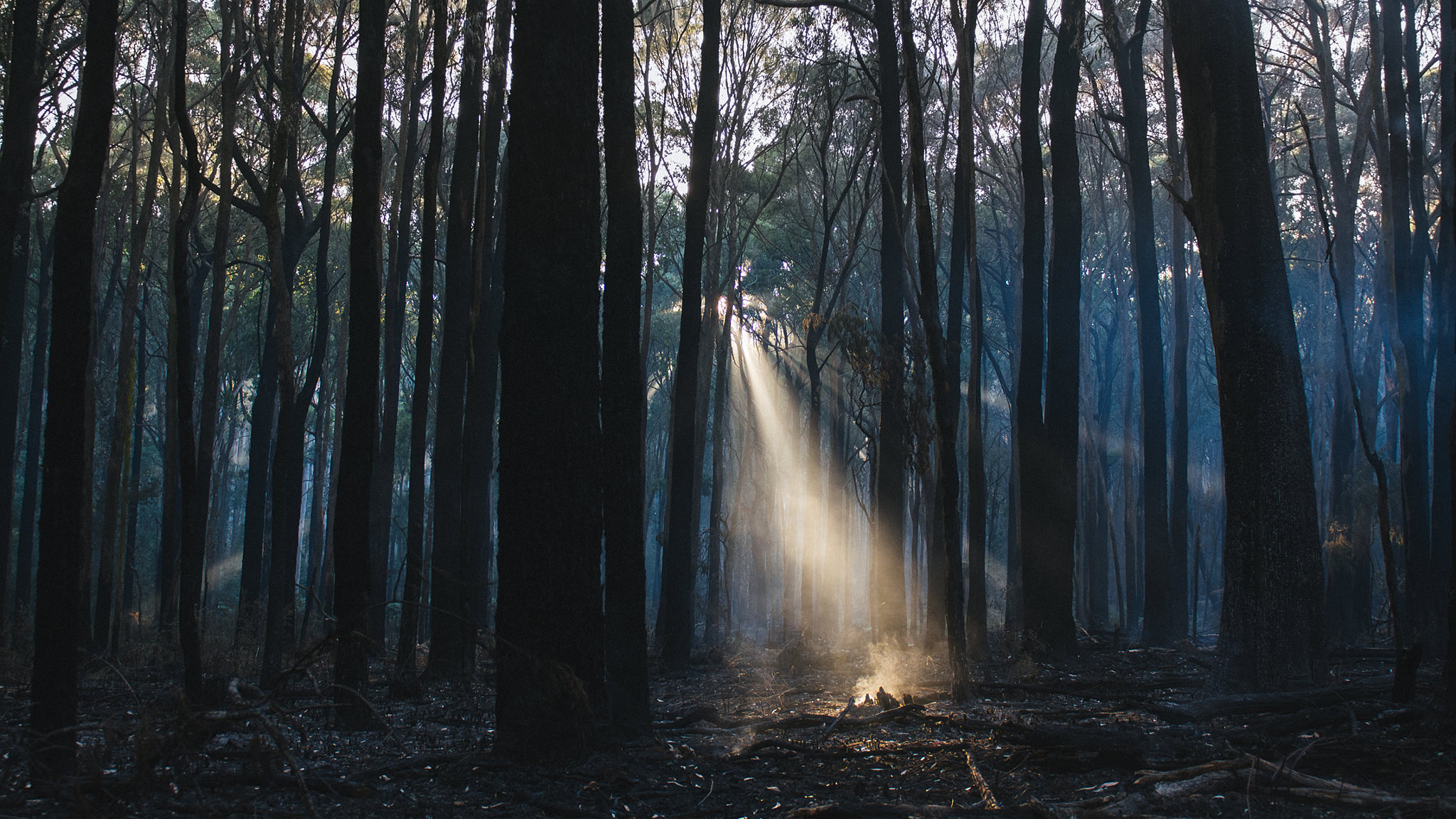 Nikon AF-S Nikkor 24-70mm F2.8G ED sample photo. Sunrise and smoke photography
