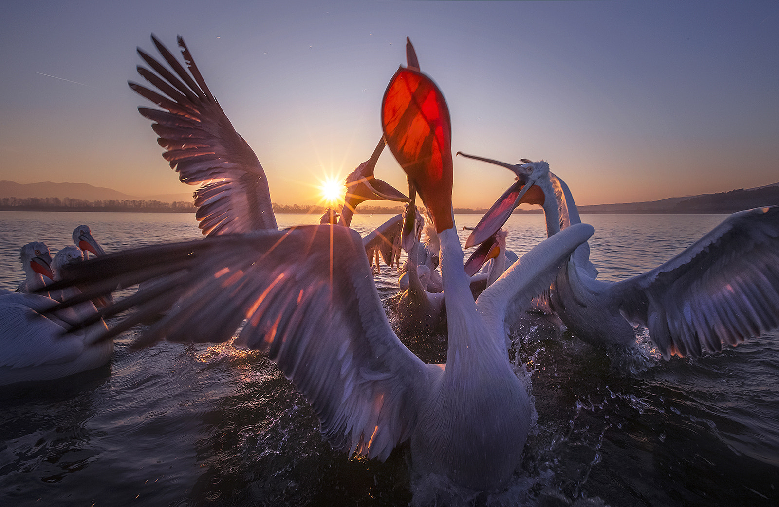 Canon EF 16-35mm F2.8L II USM sample photo. Gladiators of the lake photography