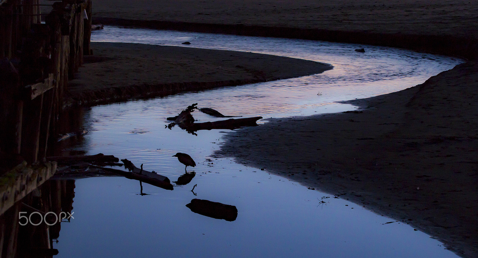 Canon EOS 6D sample photo. Night heron at dusk photography