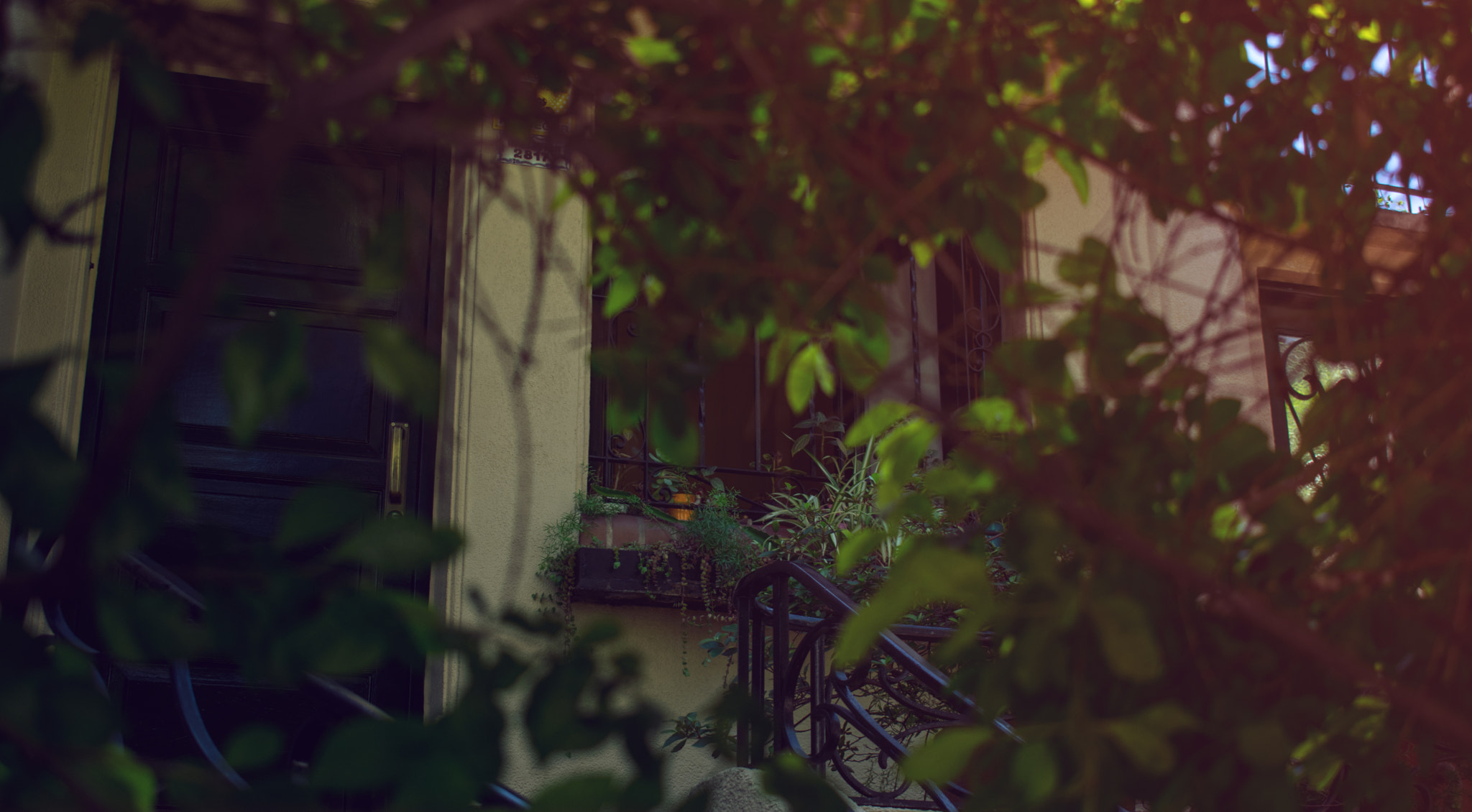Nikon D3400 sample photo. Hidden house photography