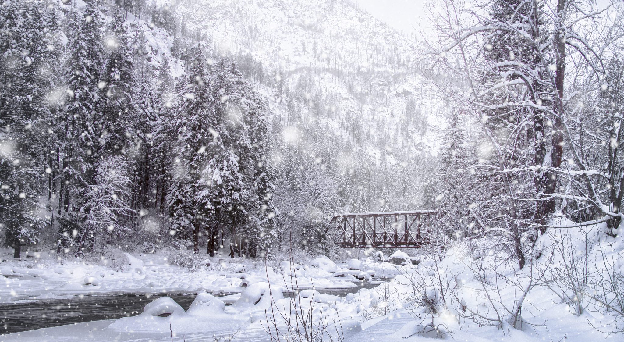 Nikon D600 sample photo. Tumwater canyon walk bridge photography