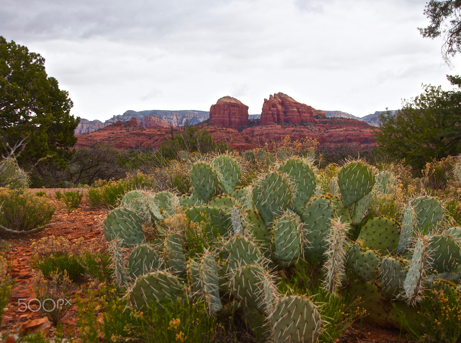 Canon EOS 550D (EOS Rebel T2i / EOS Kiss X4) + Sigma 18-250mm F3.5-6.3 DC OS HSM sample photo. Sedona red rocks photography