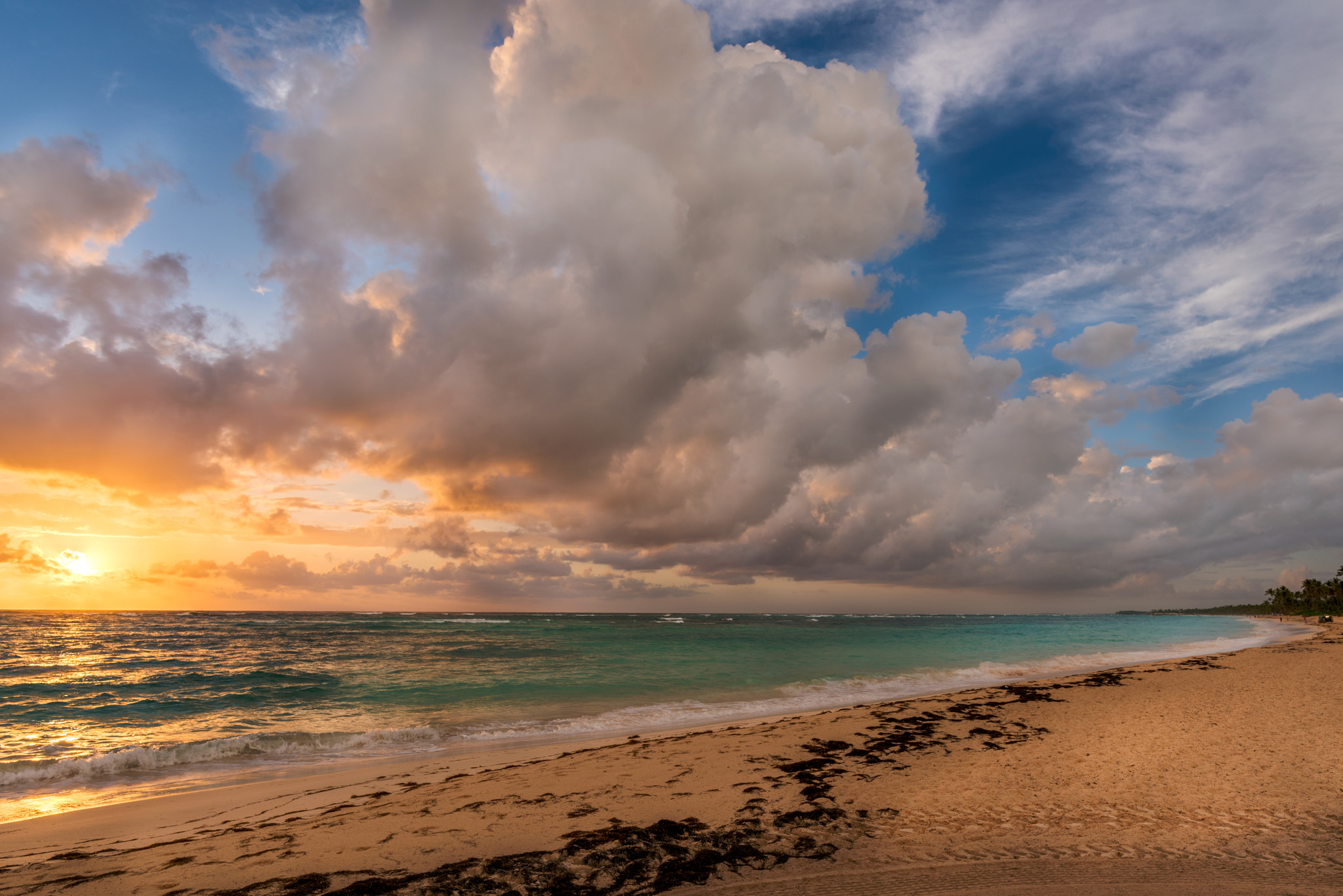 Nikon D810 + Nikon AF-S Nikkor 20mm F1.8G ED sample photo. Punta cana, dr photography