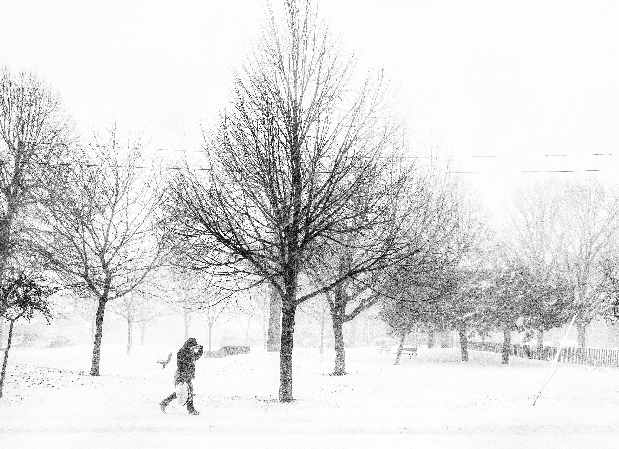 Fujifilm XF 23mm F1.4 R sample photo. White out photography