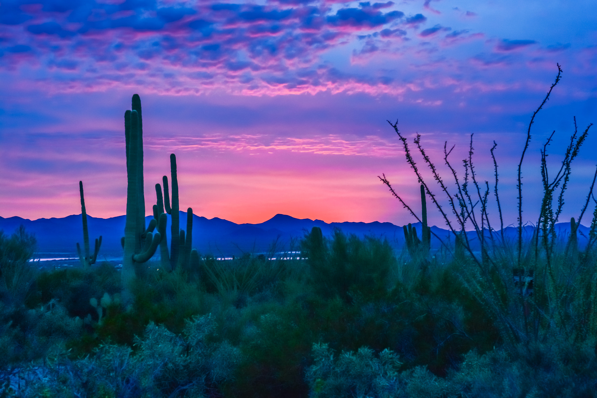 Nikon AF-S Nikkor 24-70mm F2.8G ED sample photo. Saguaro np, az photography