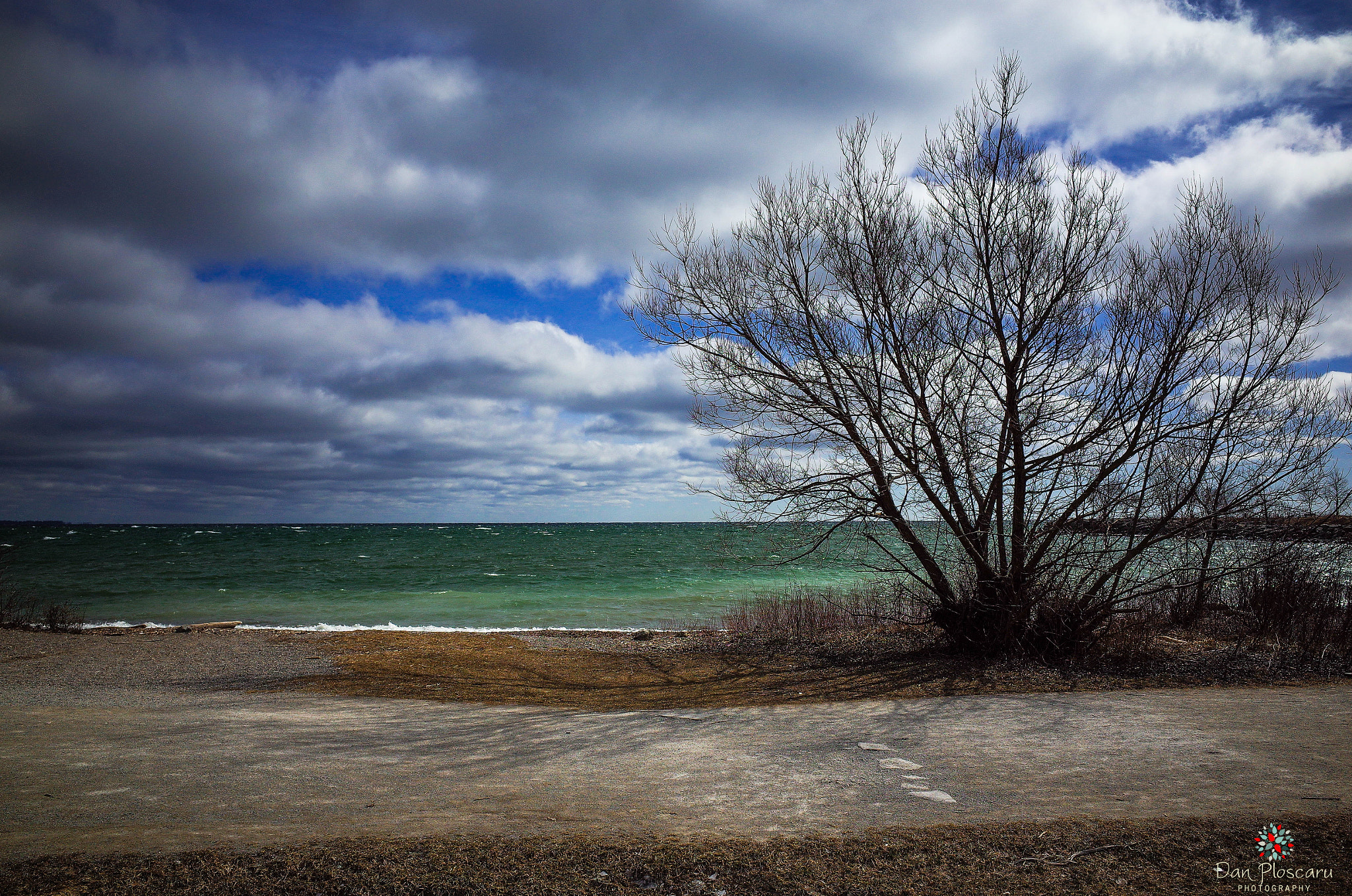 Ricoh GR + GR Lens sample photo. Lake ontario photography