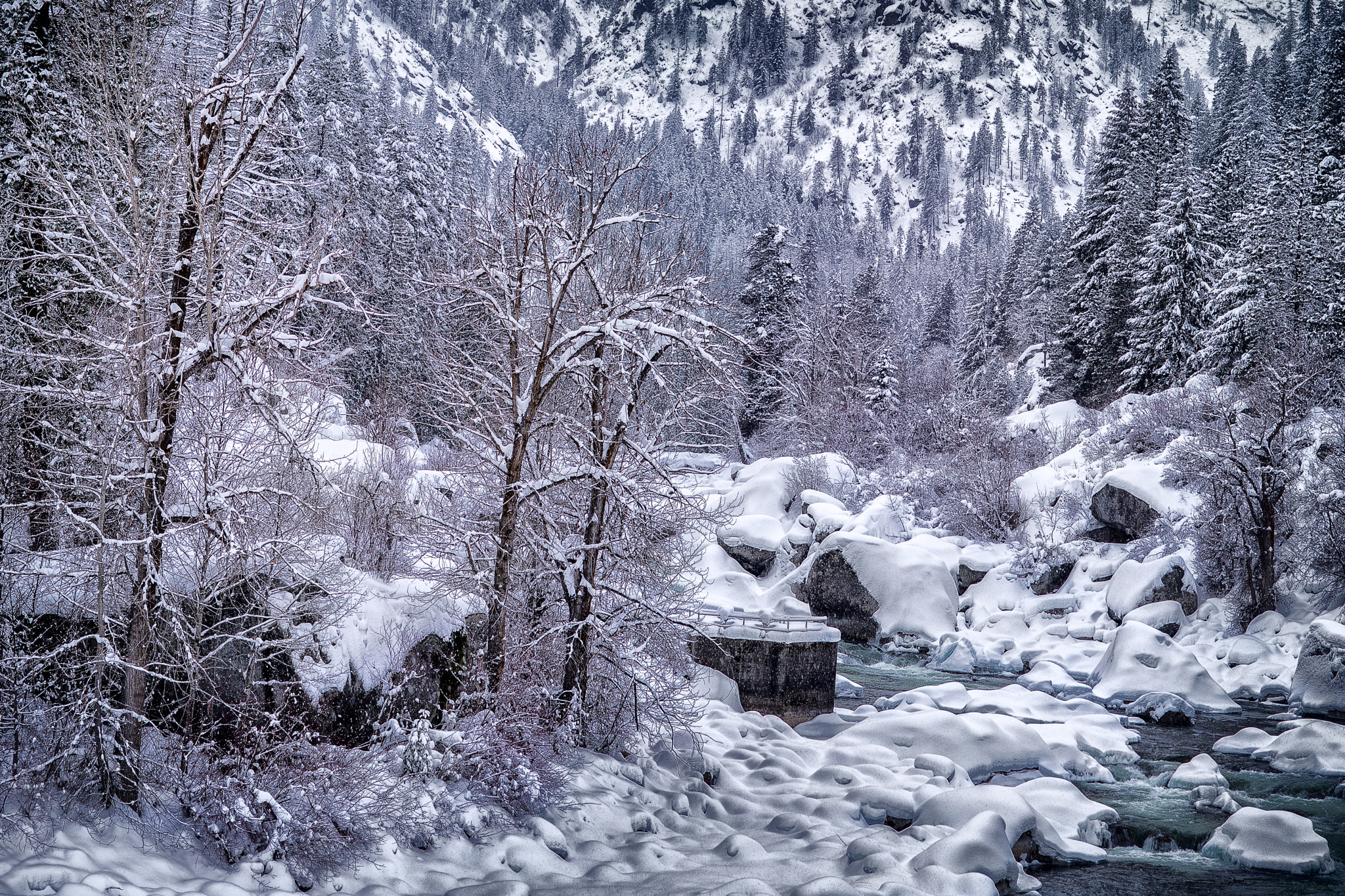 Nikon D600 sample photo. Tumwater canyon in winter photography