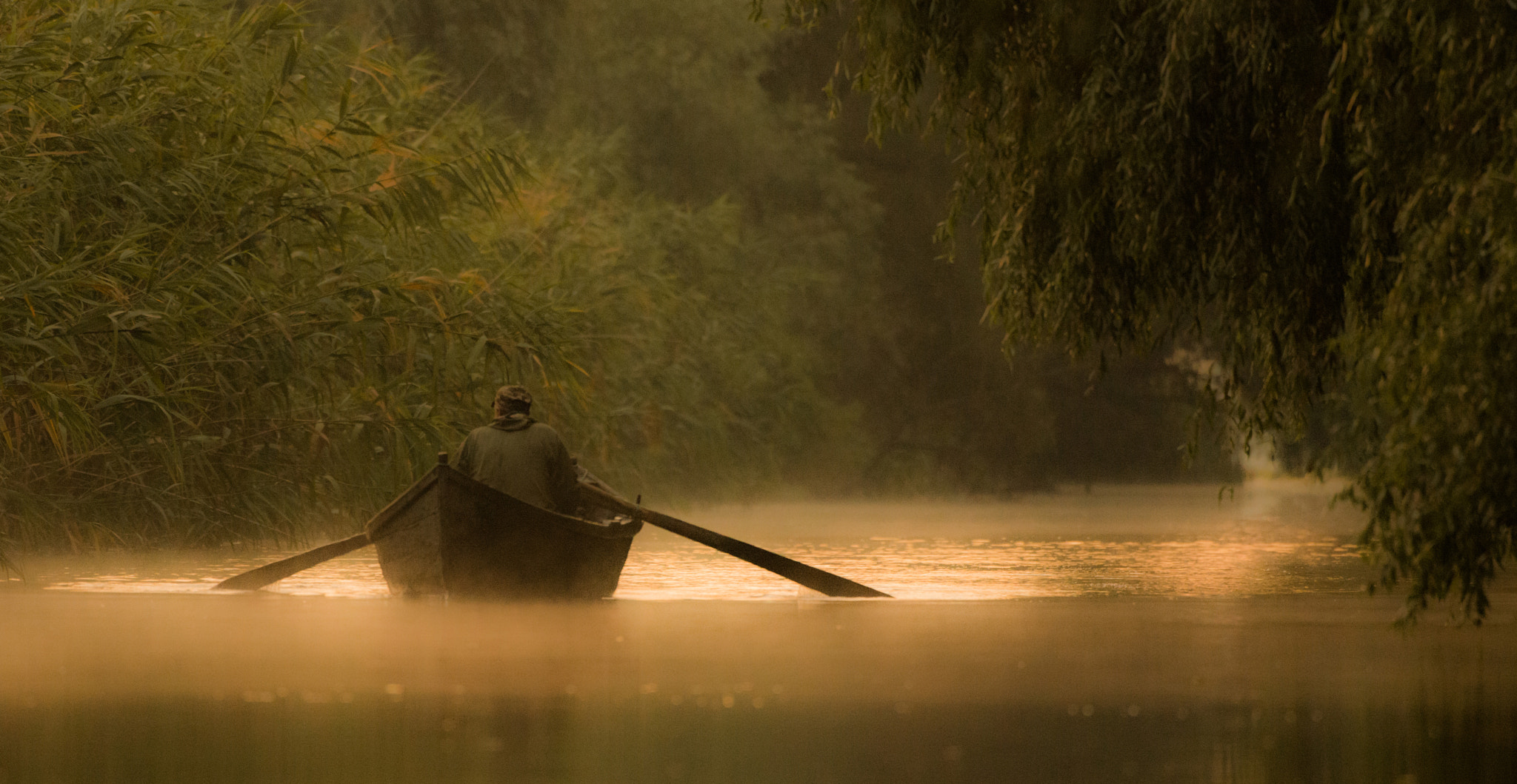 Nikon AF-S Nikkor 200-500mm F5.6E ED VR sample photo. Mist photography
