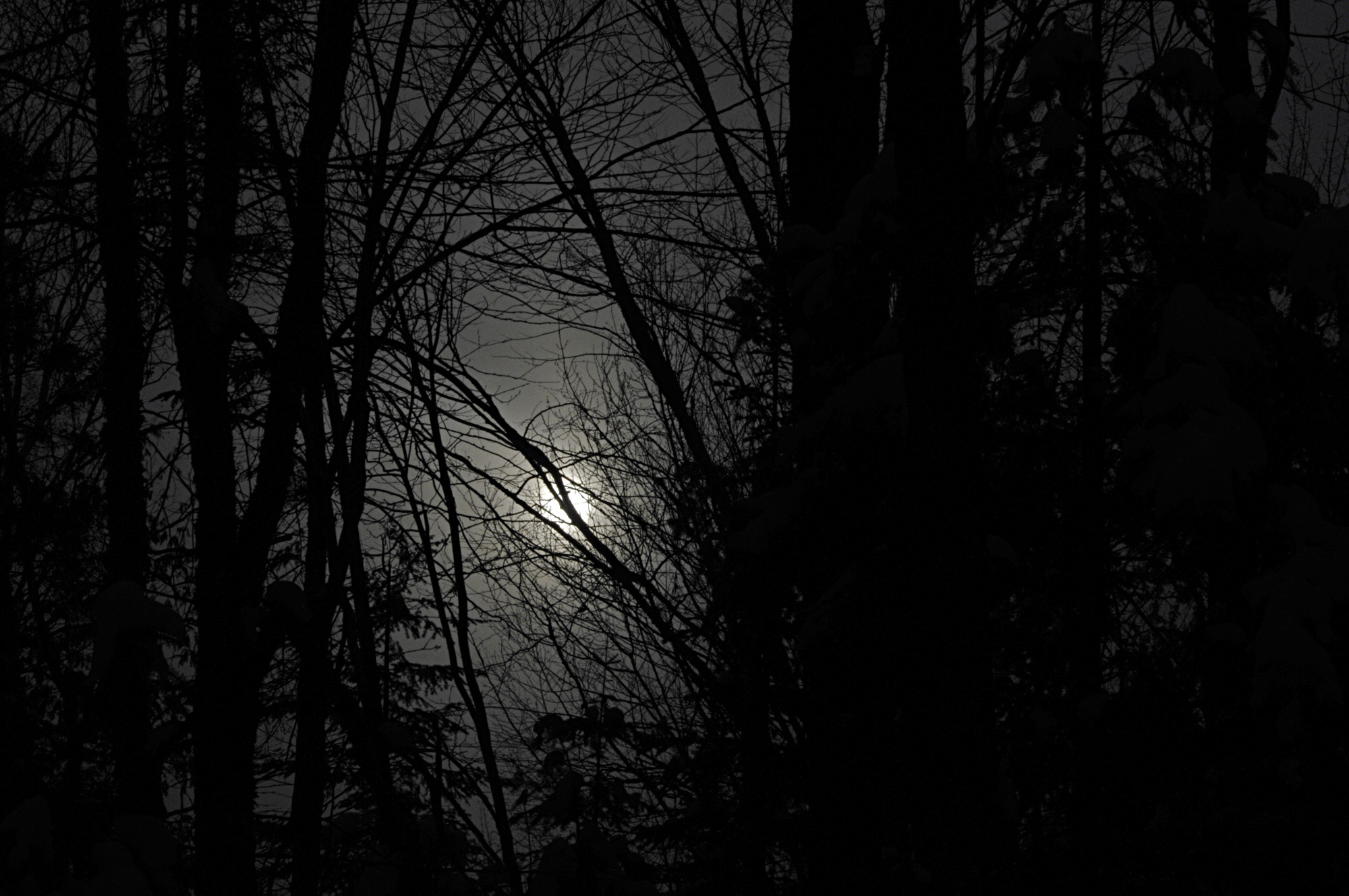 Nikon D300S sample photo. Light in the dark photography