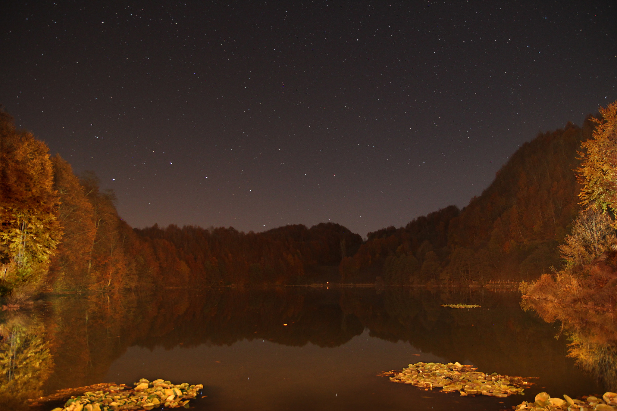 Canon EOS 600D (Rebel EOS T3i / EOS Kiss X5) sample photo. Autumn night photography