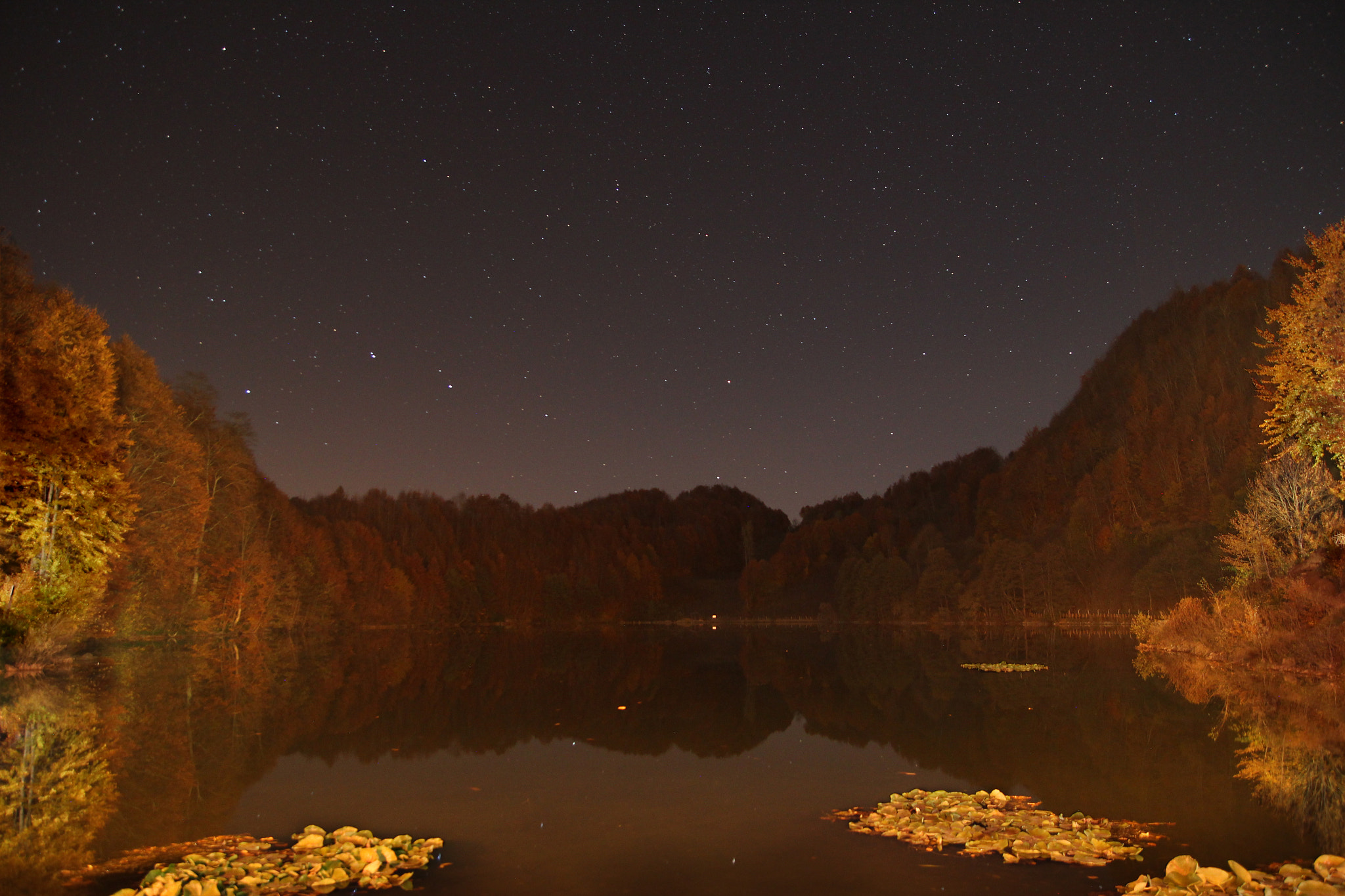 Tamron SP AF 17-50mm F2.8 XR Di II LD Aspherical (IF) sample photo. Autumn night photography